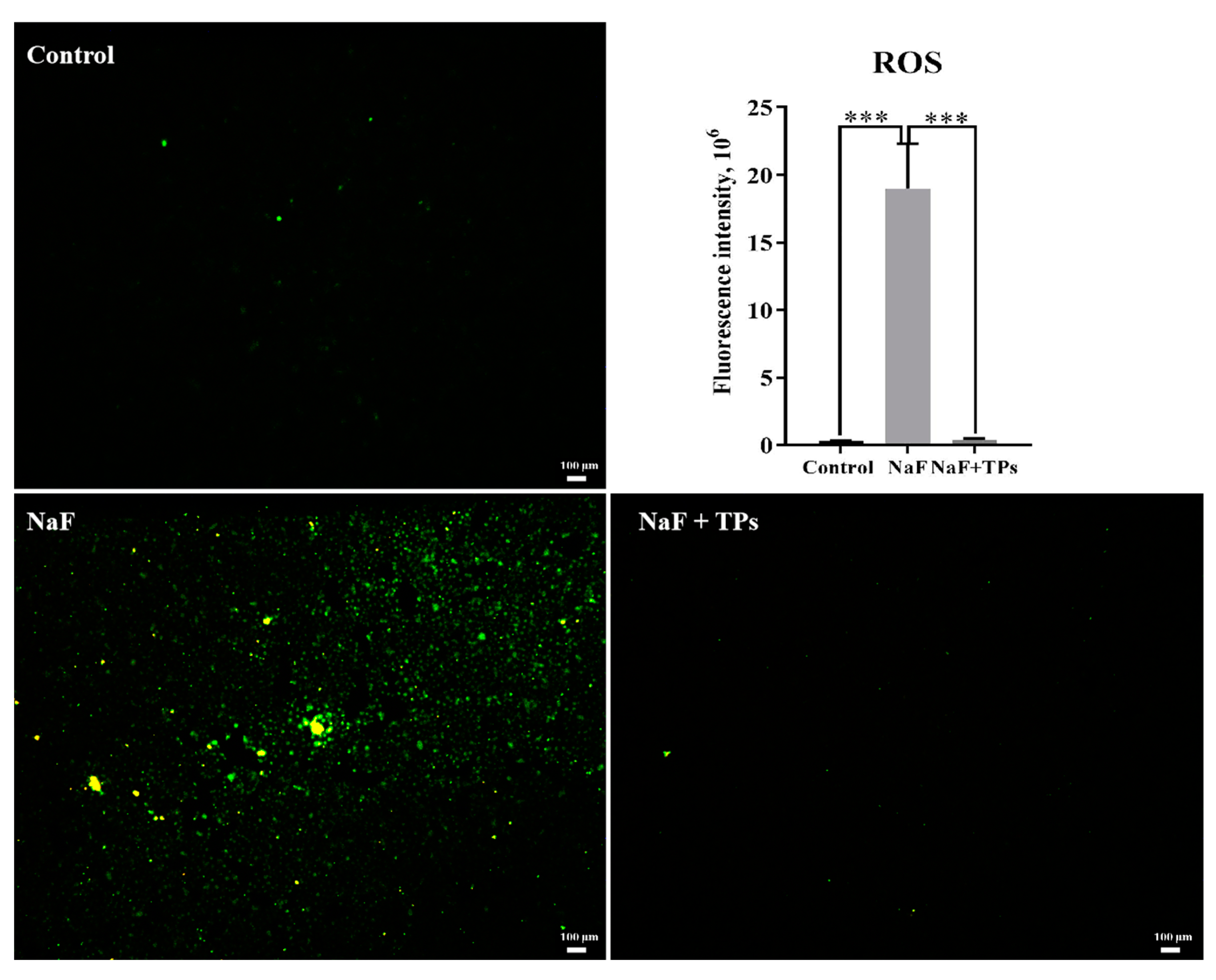 Toxics 13 00083 g003