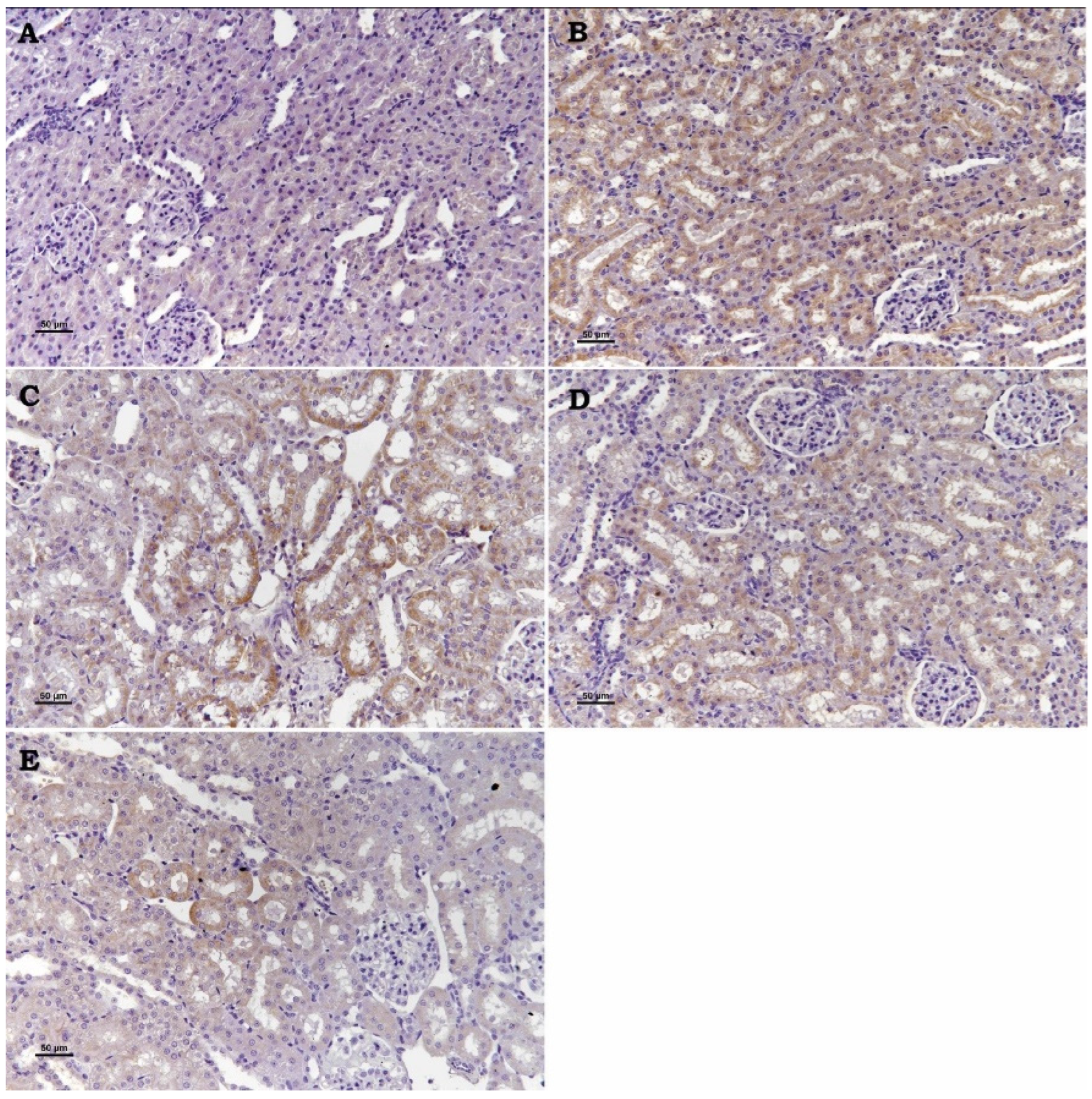 Toxics 13 00087 g004