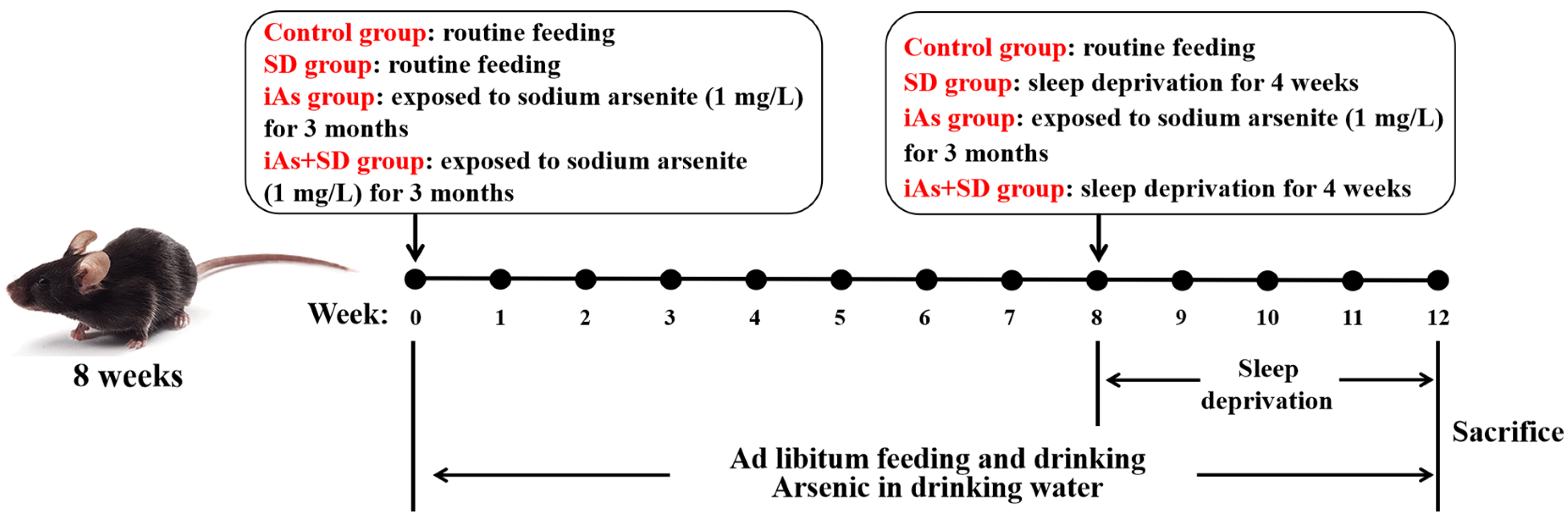 Toxics 13 00097 g001