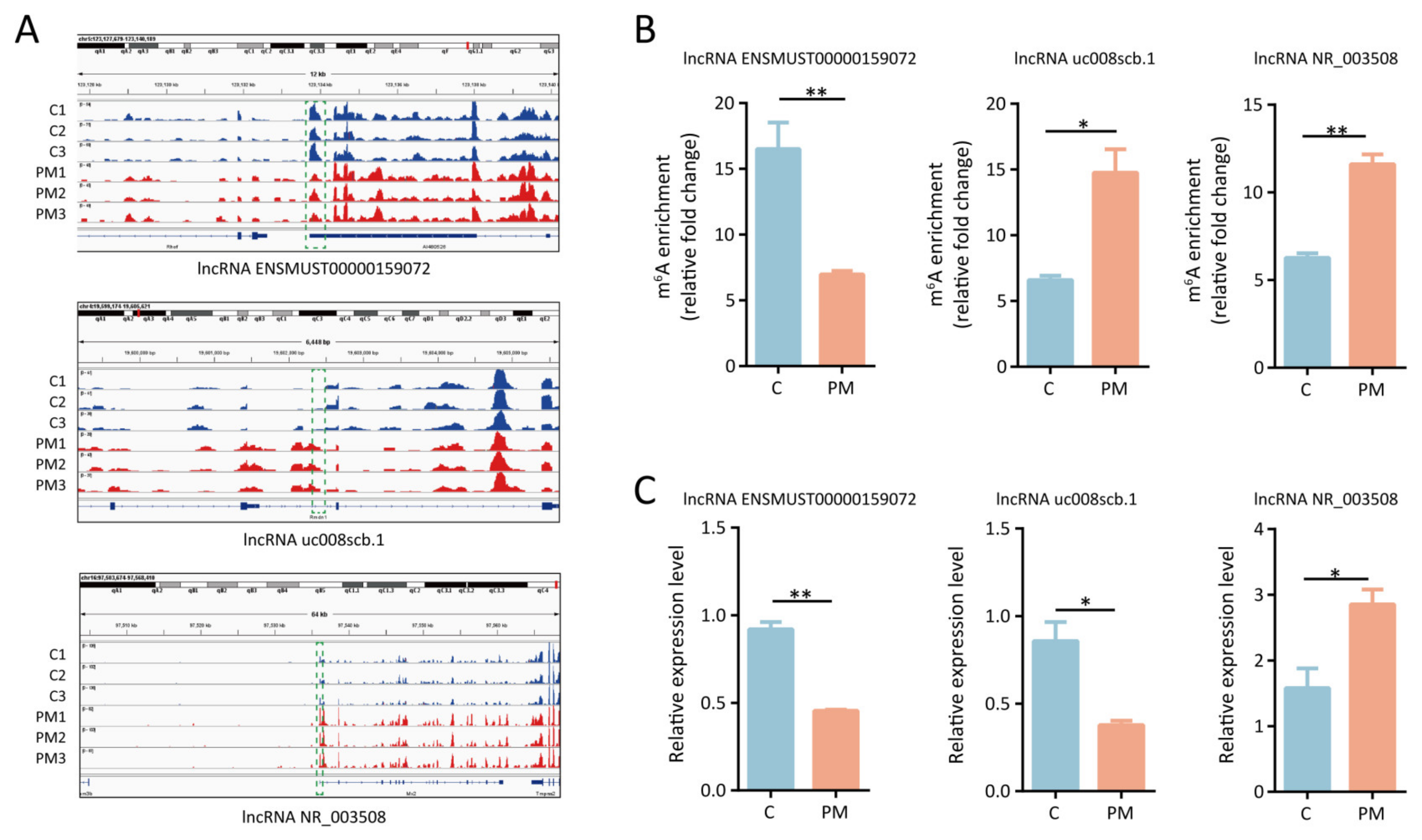 Toxics 13 00098 g004
