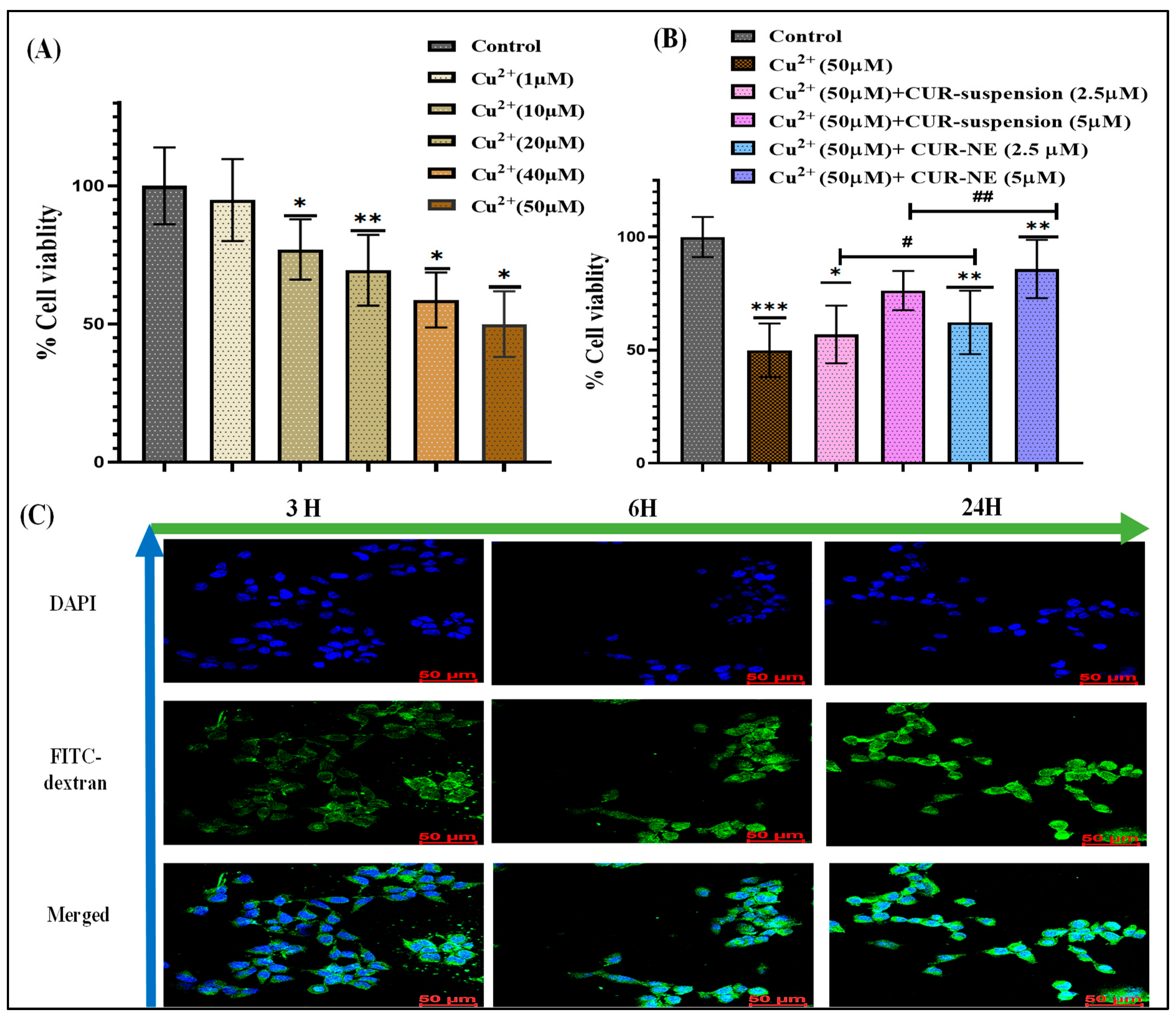Toxics 13 00108 g002
