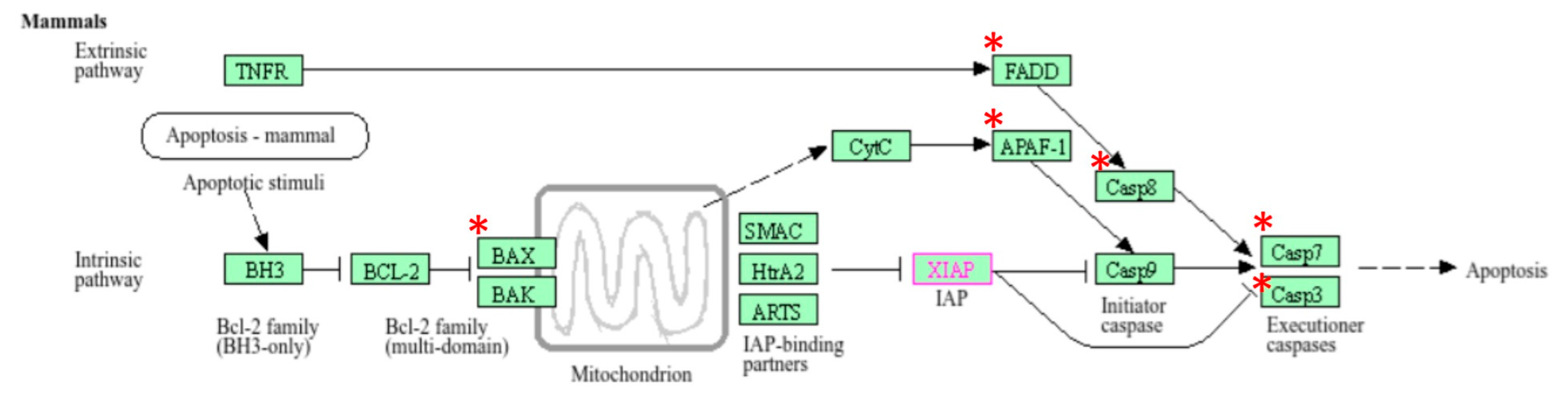 Toxics 13 00111 g005