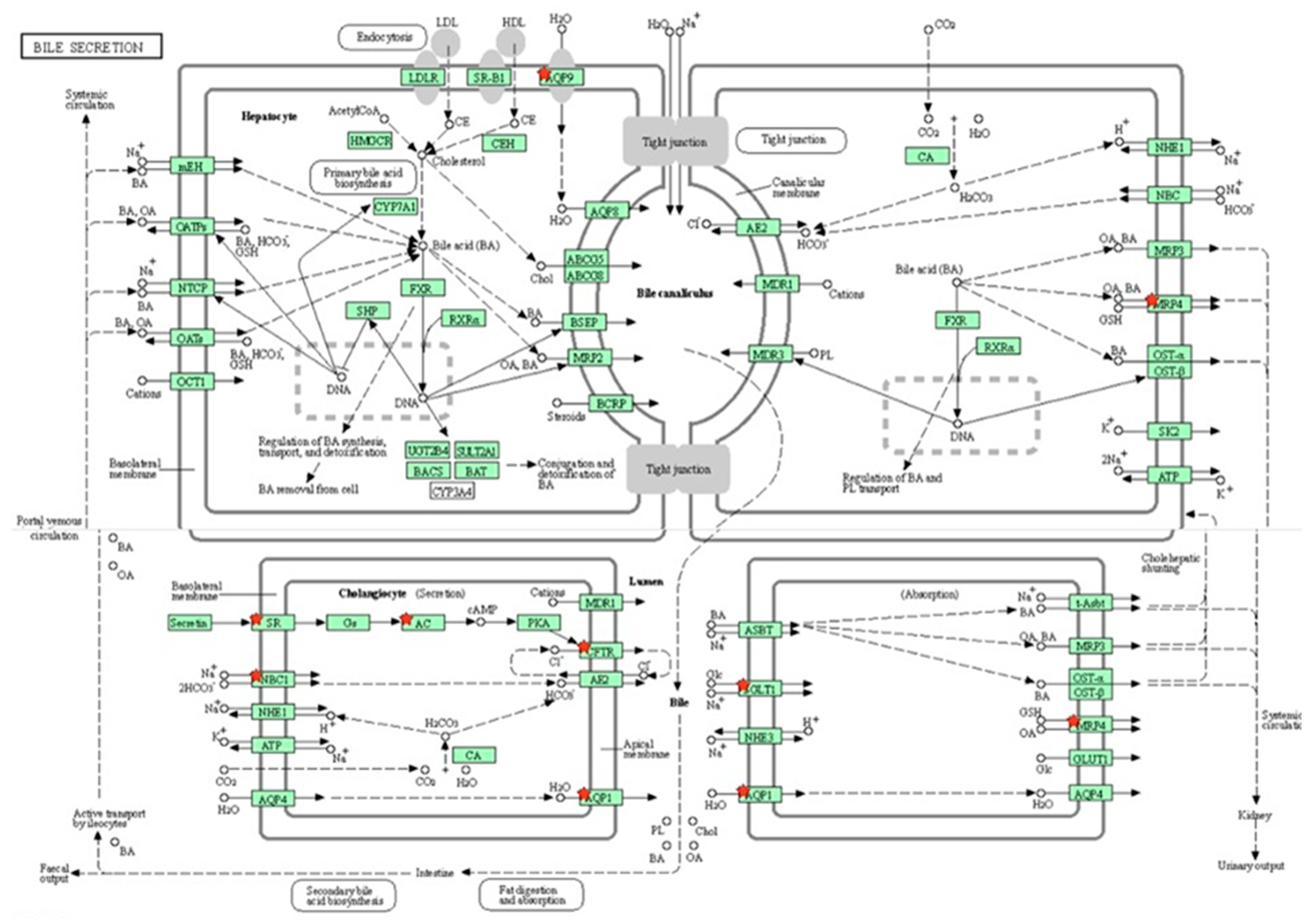 Toxics 13 00111 g007