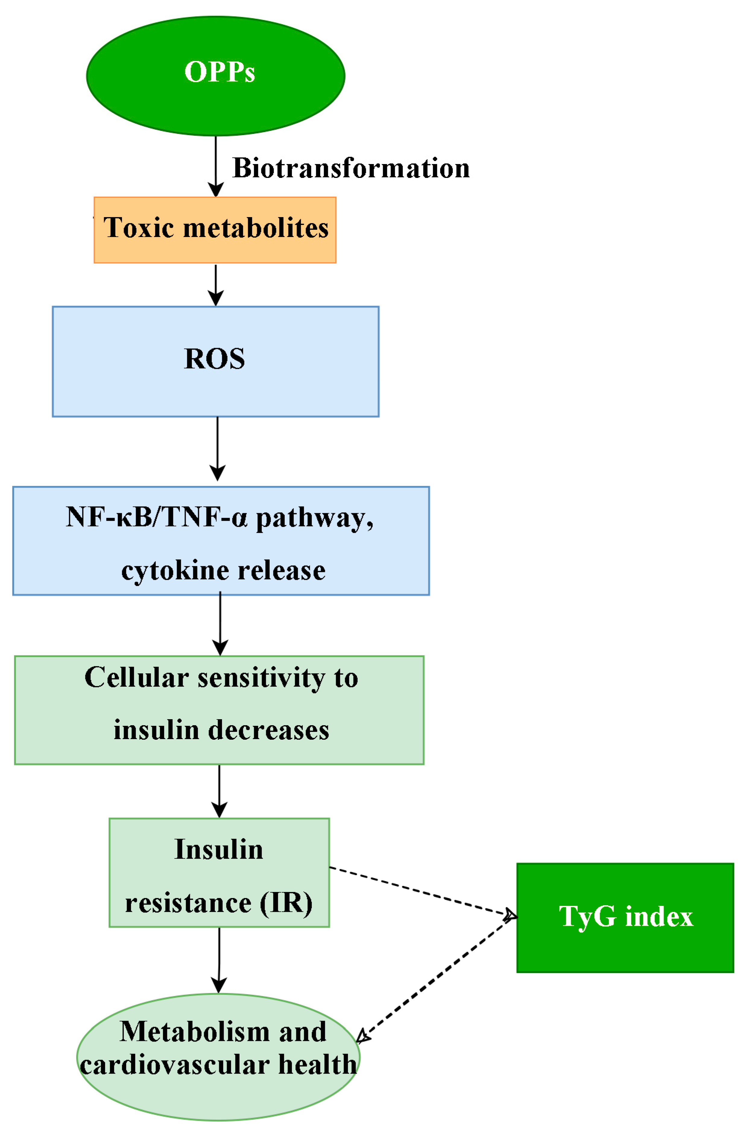 Toxics 13 00118 g006