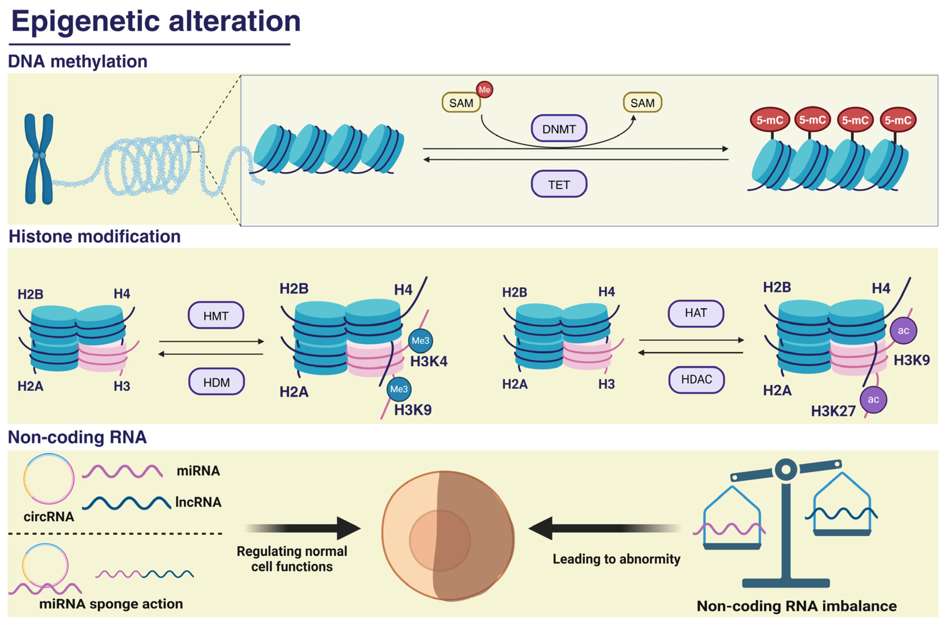 Toxics 13 00119 g002