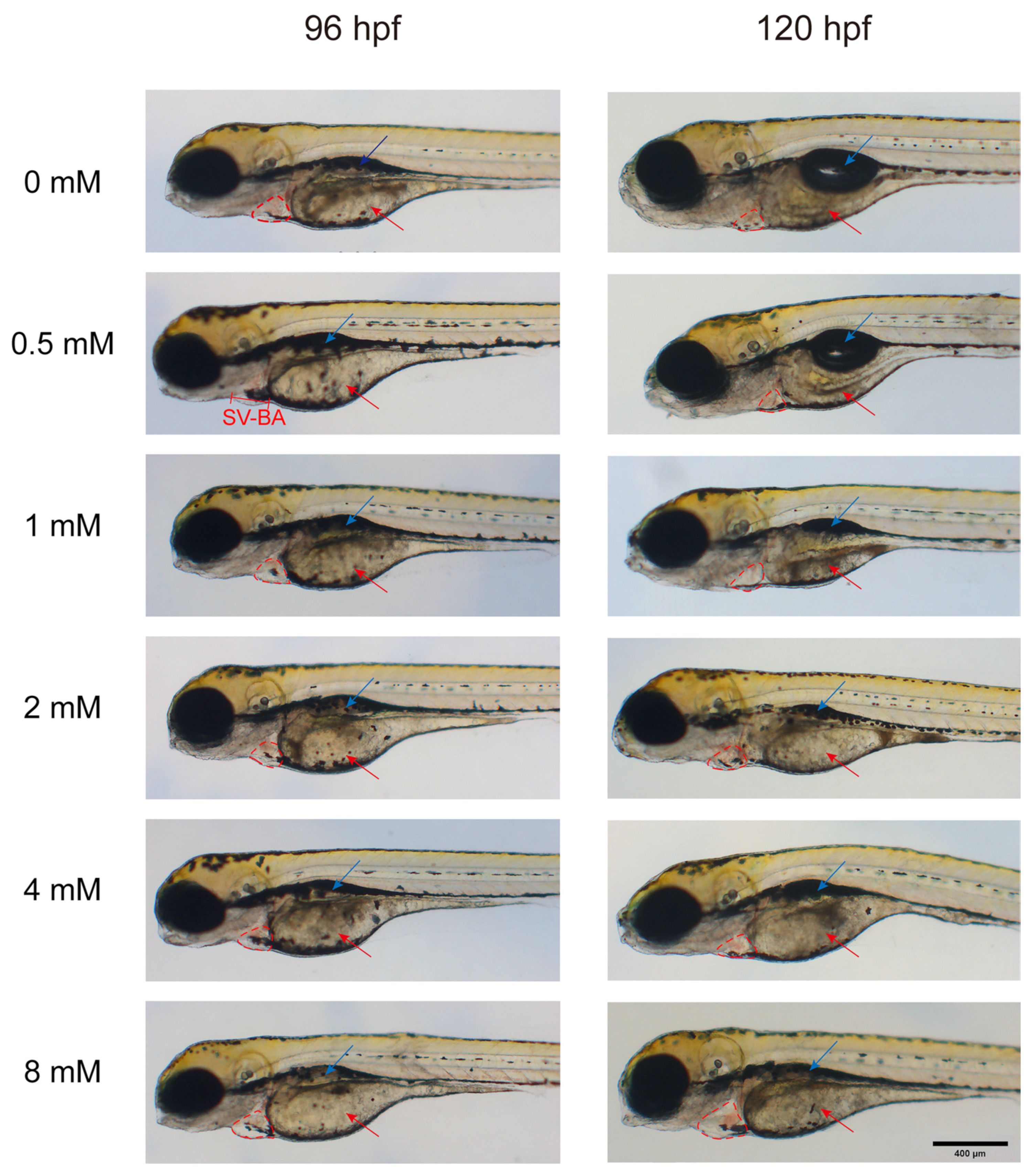 Toxics 13 00122 g003