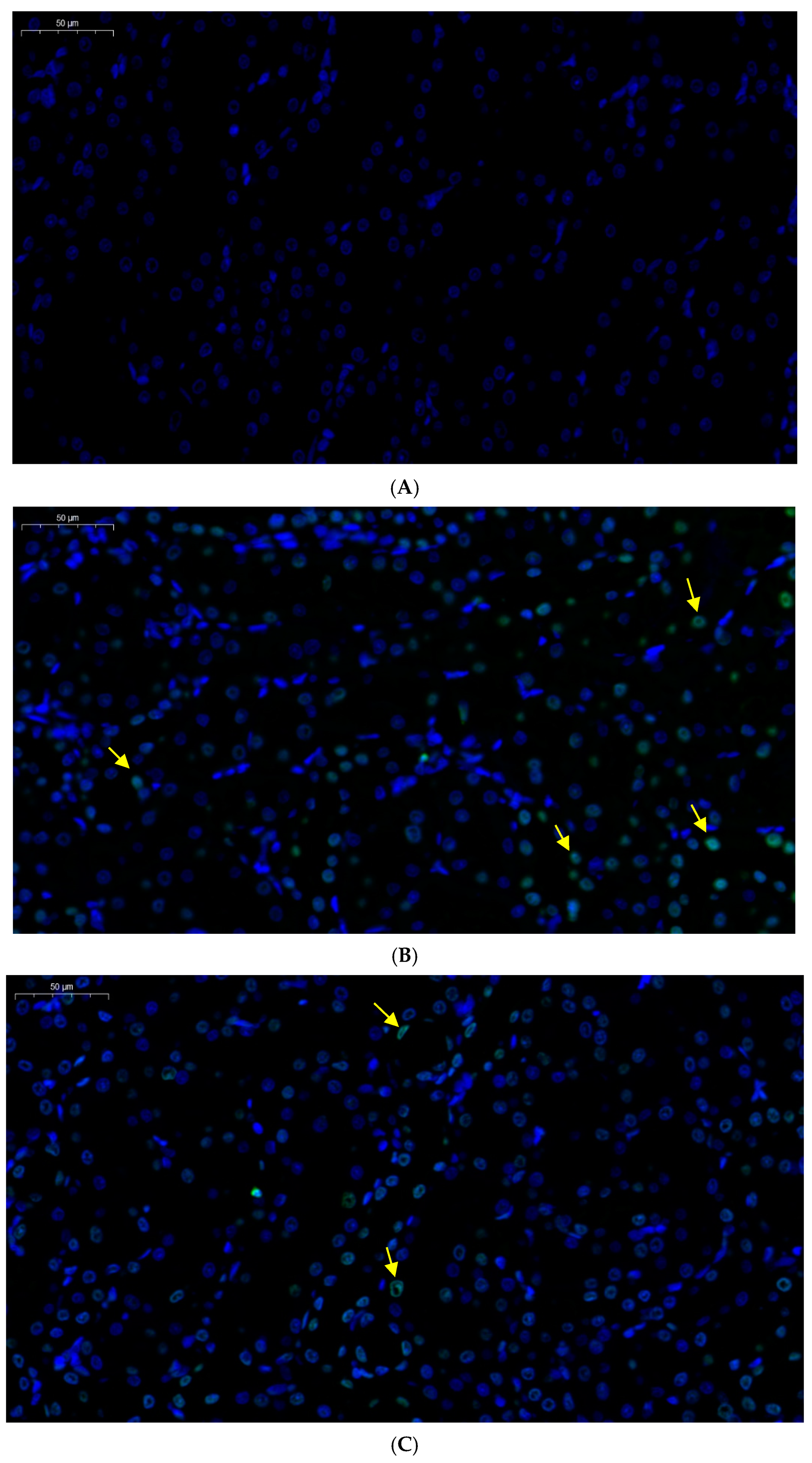 Toxics 13 00129 g003a
