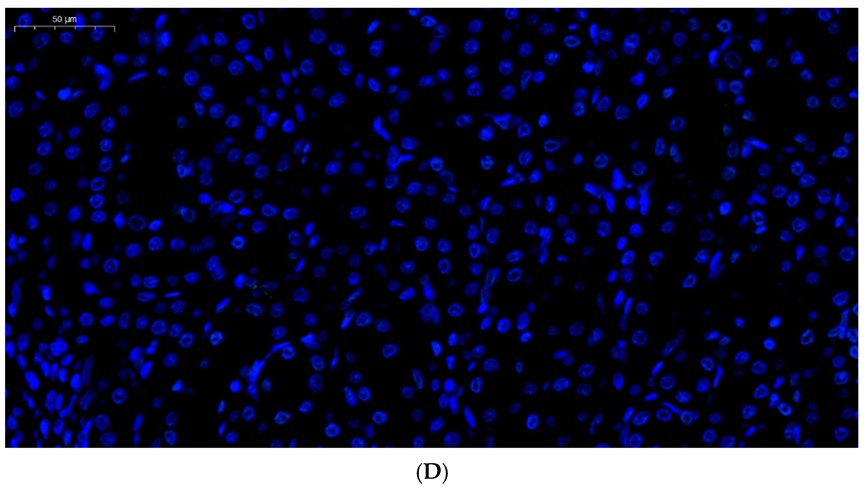 Toxics 13 00129 g003b