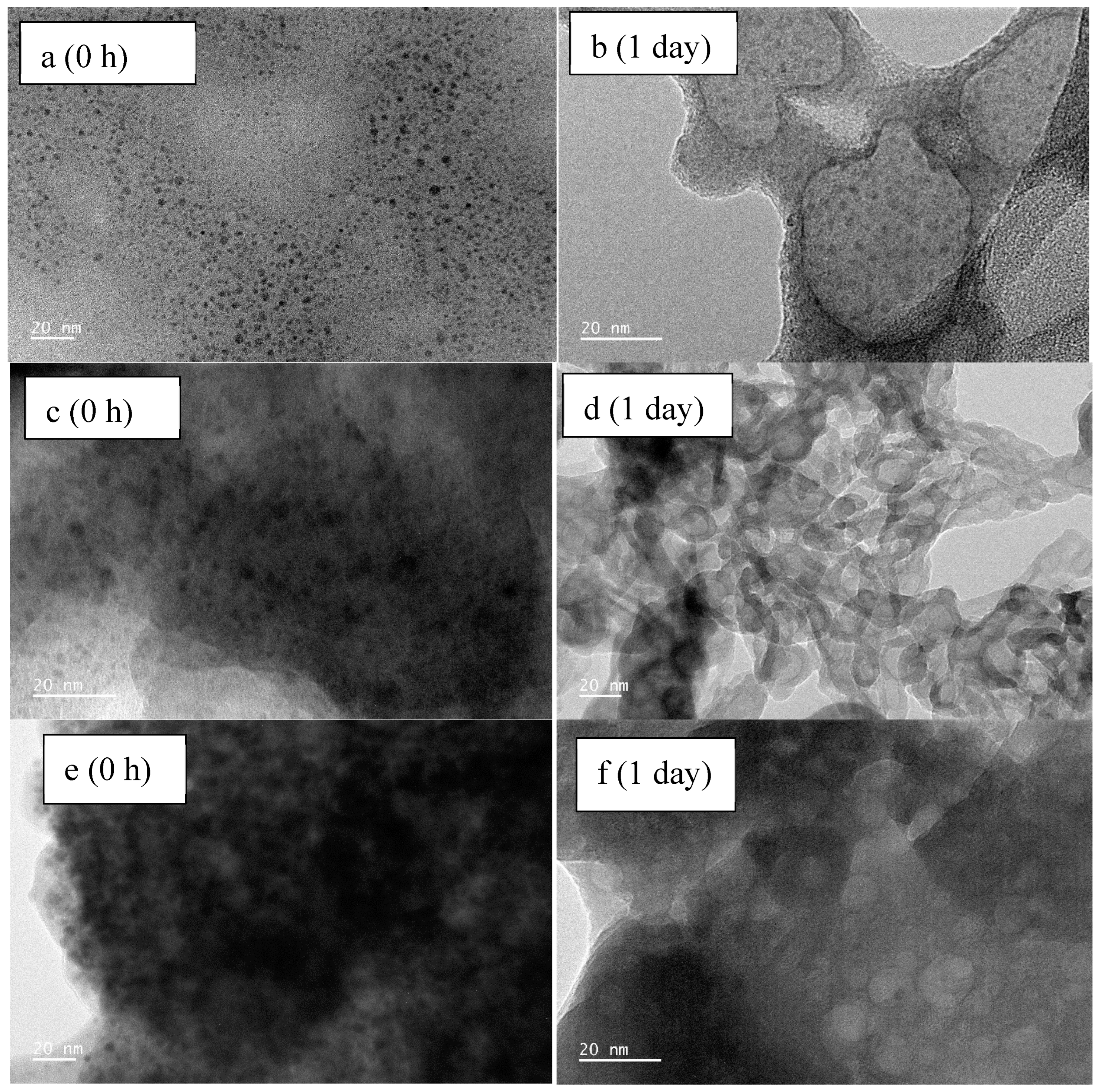 Toxics 13 00148 g006