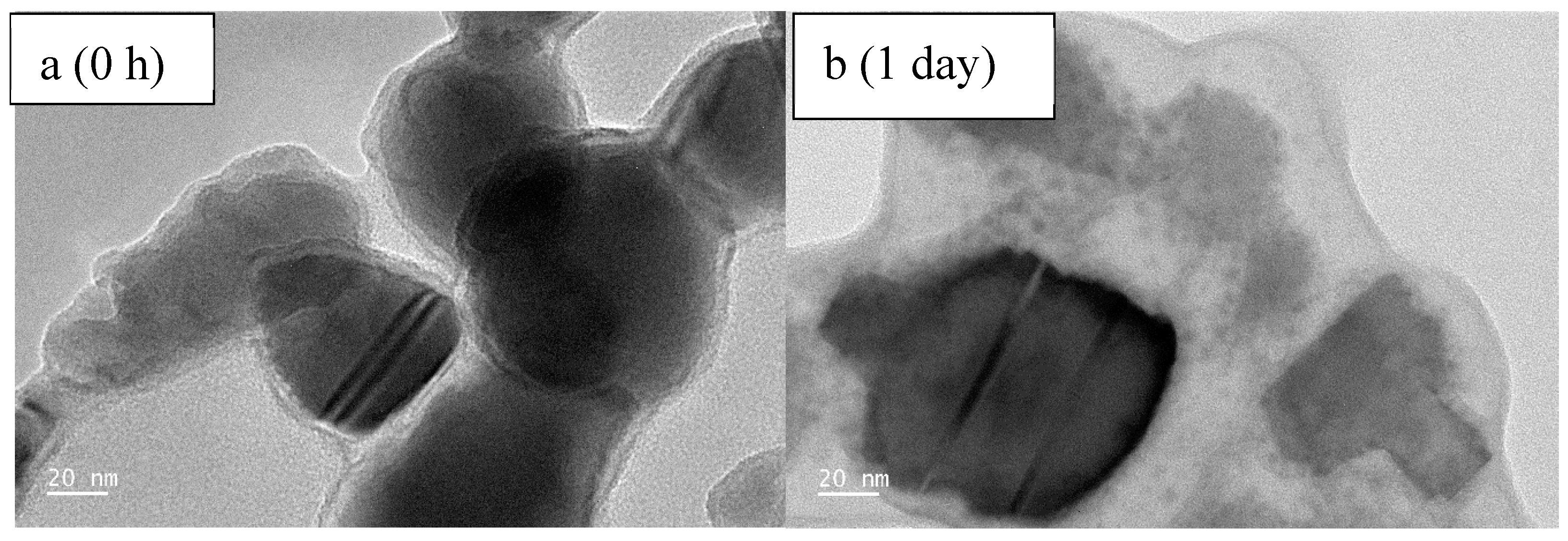 Toxics 13 00148 g010
