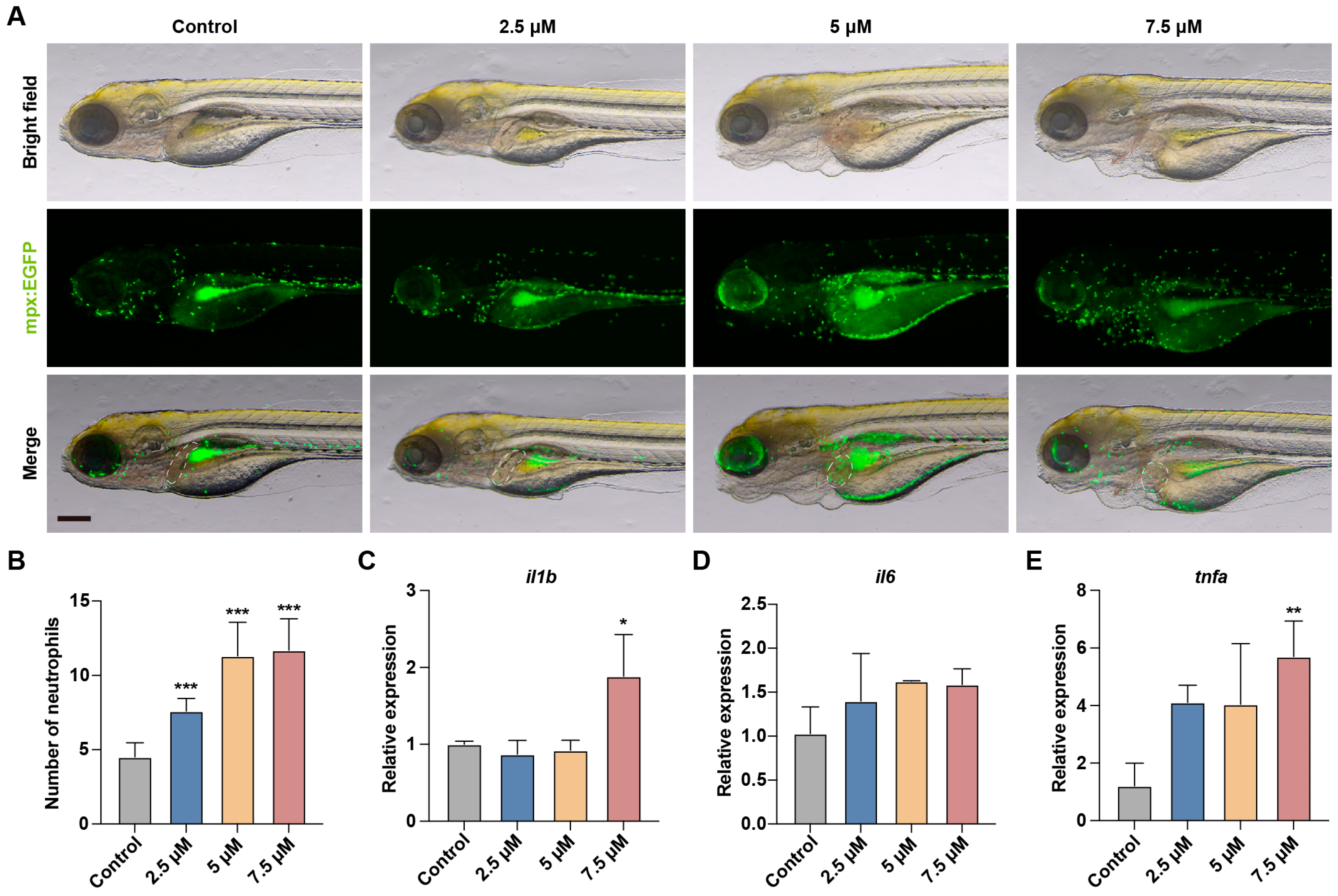 Toxics 13 00155 g003