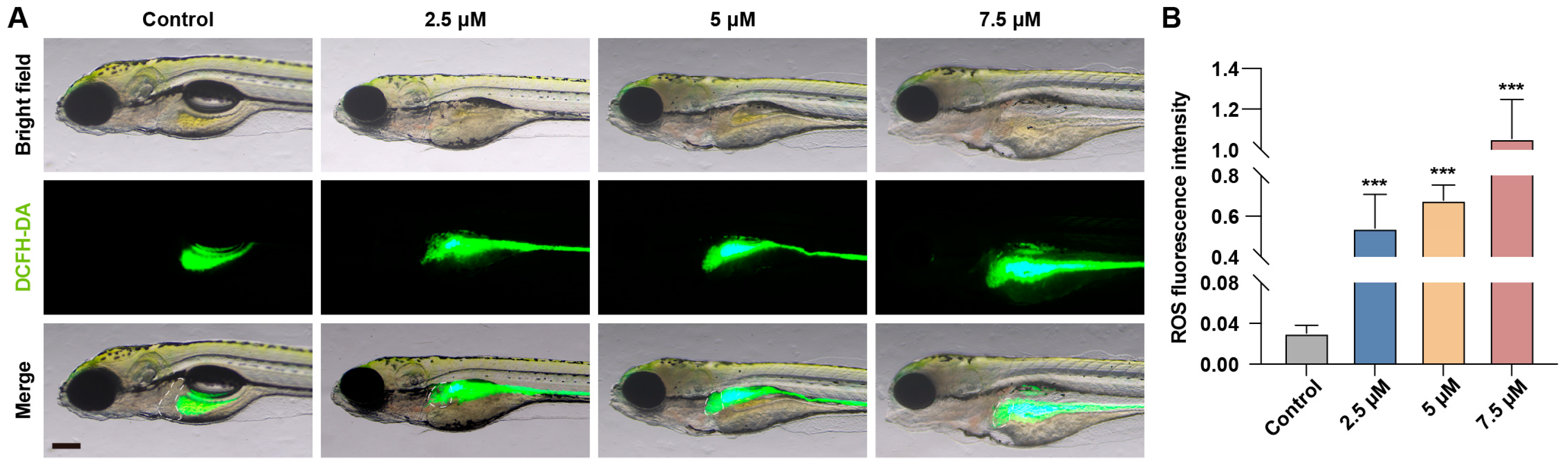 Toxics 13 00155 g004