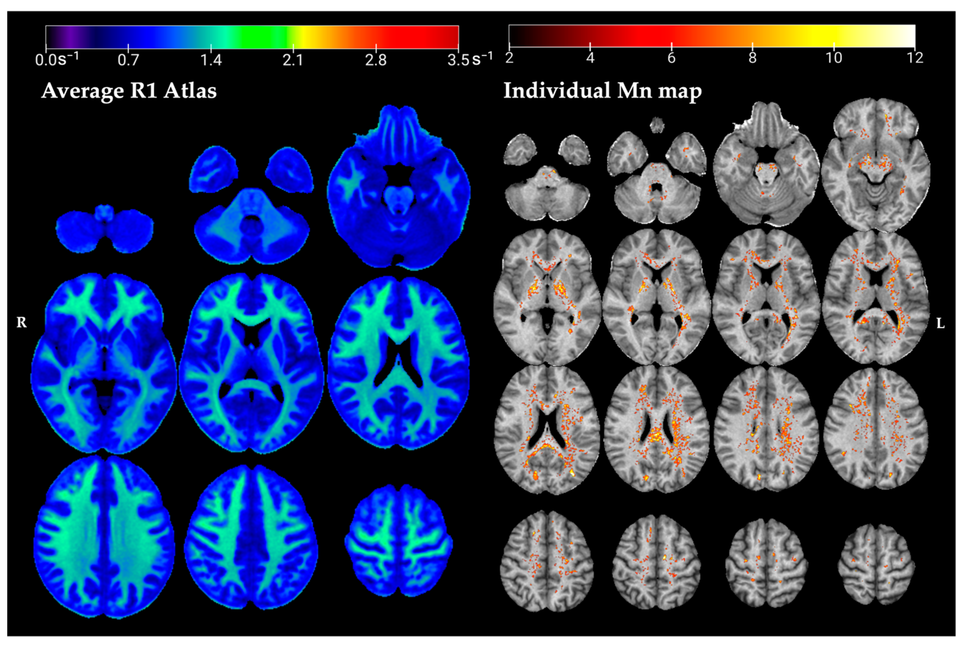 Toxics 13 00157 g002