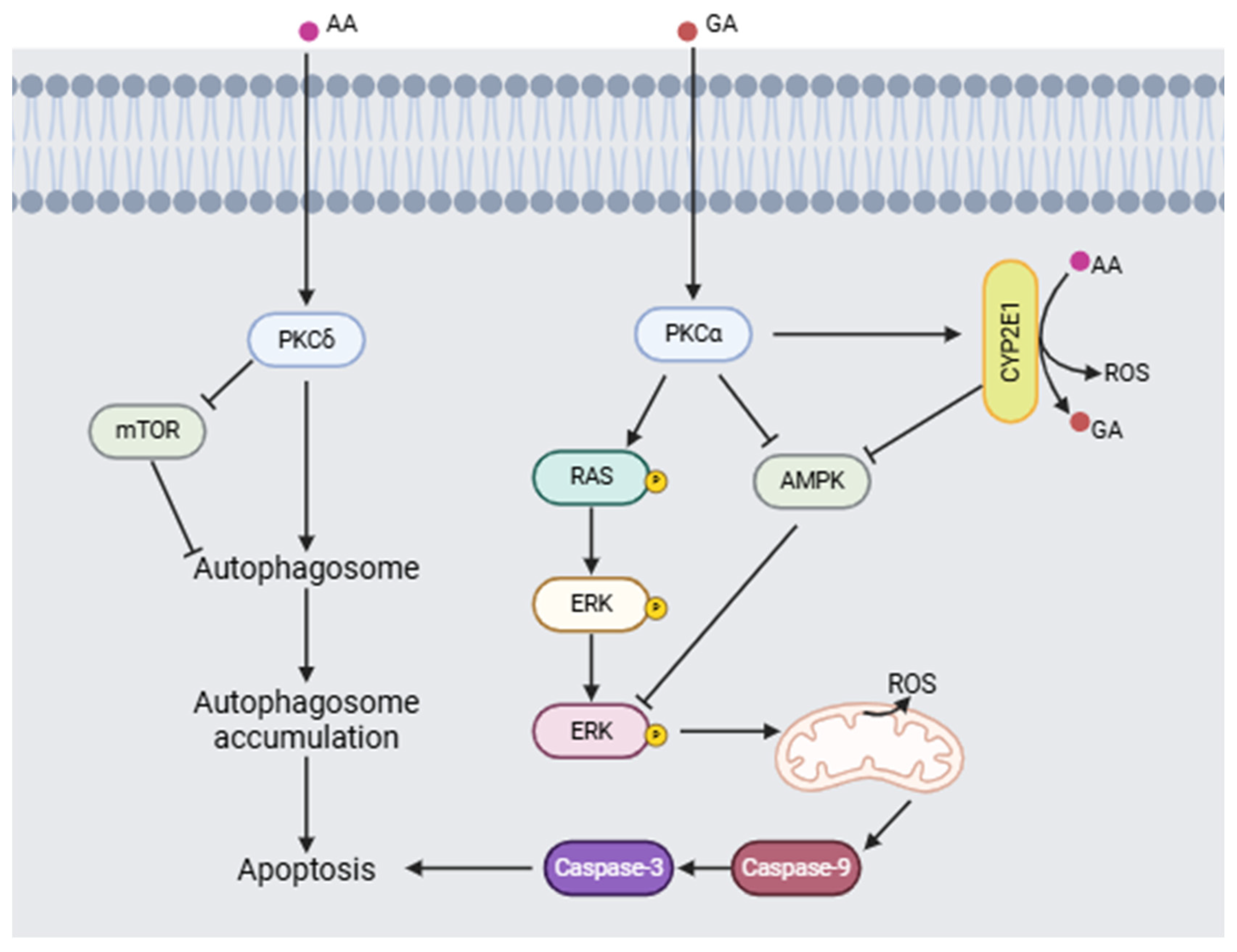 Toxics 13 00161 g006