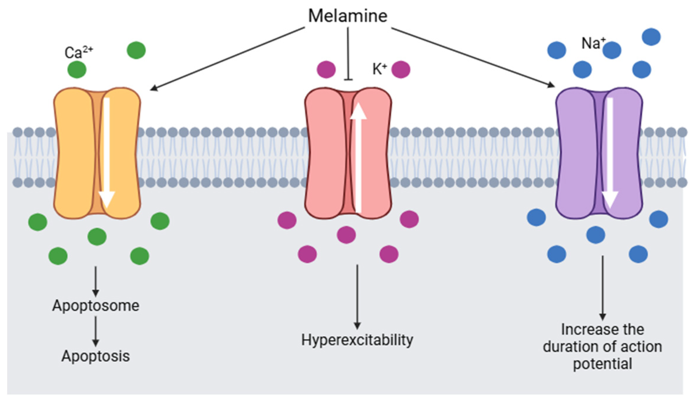 Toxics 13 00161 g008