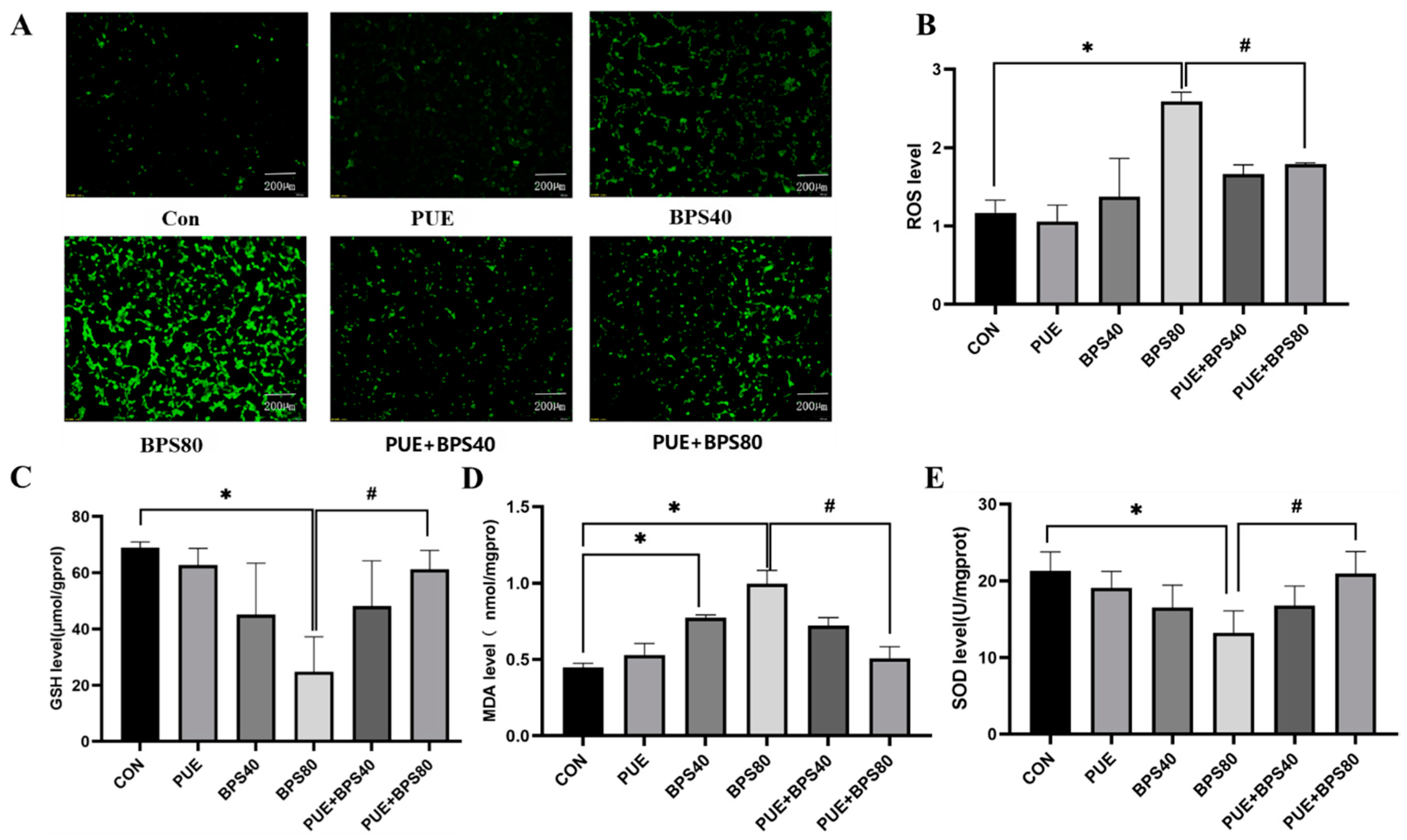 Toxics 13 00162 g003
