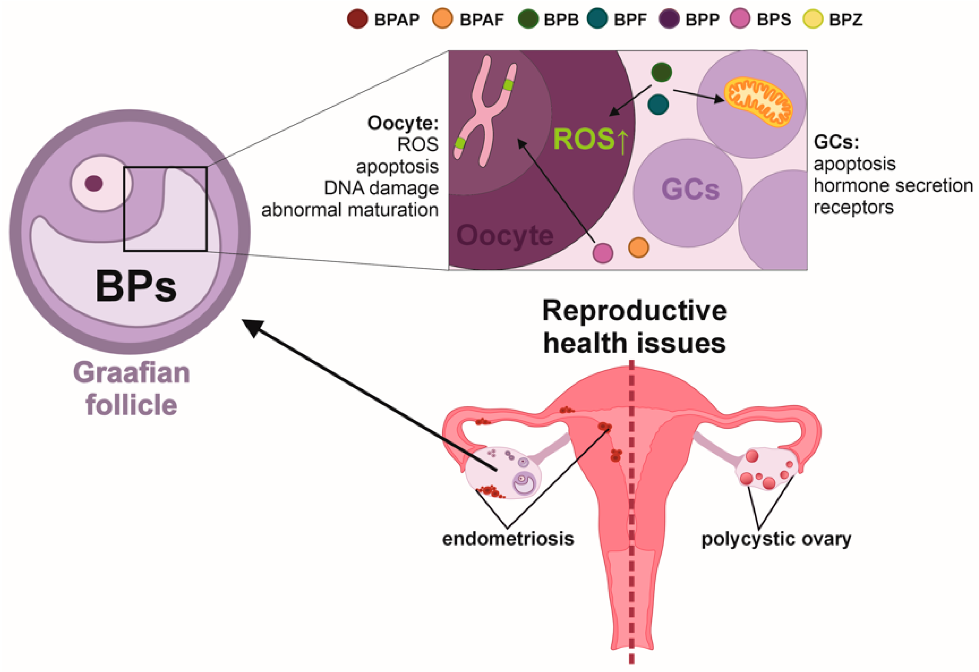 Toxics 13 00164 g003