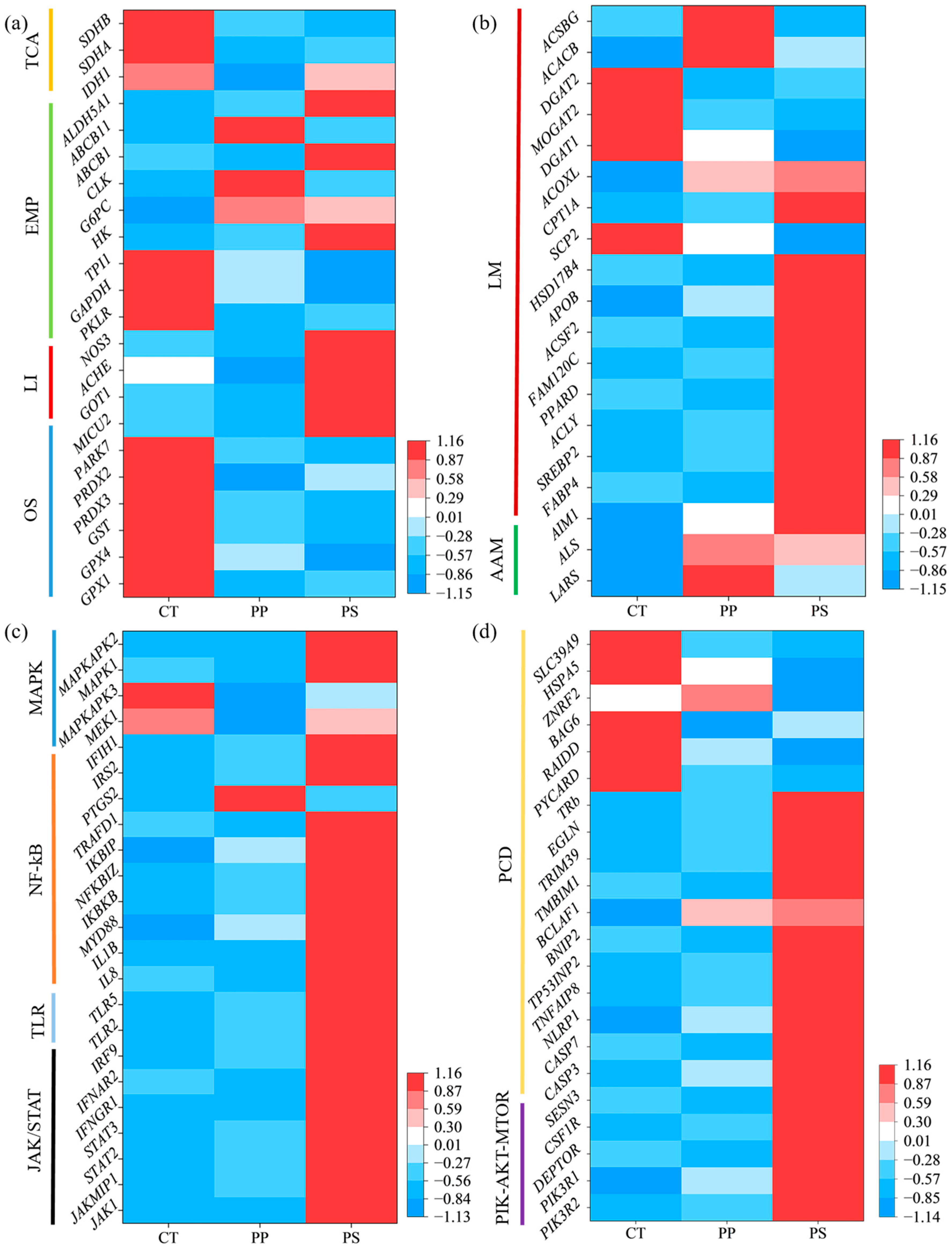 Toxics 13 00165 g005