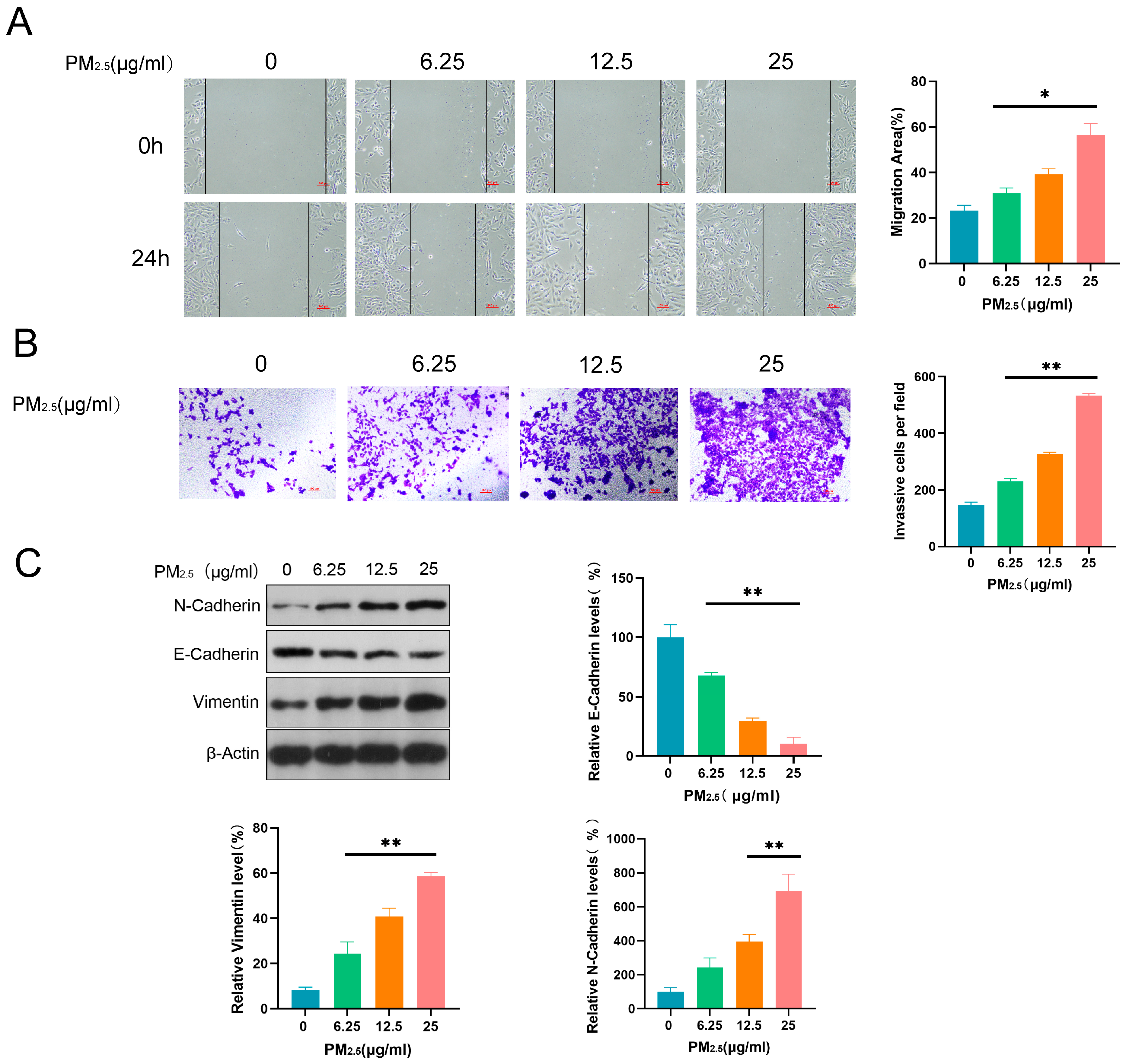 Toxics 13 00166 g002