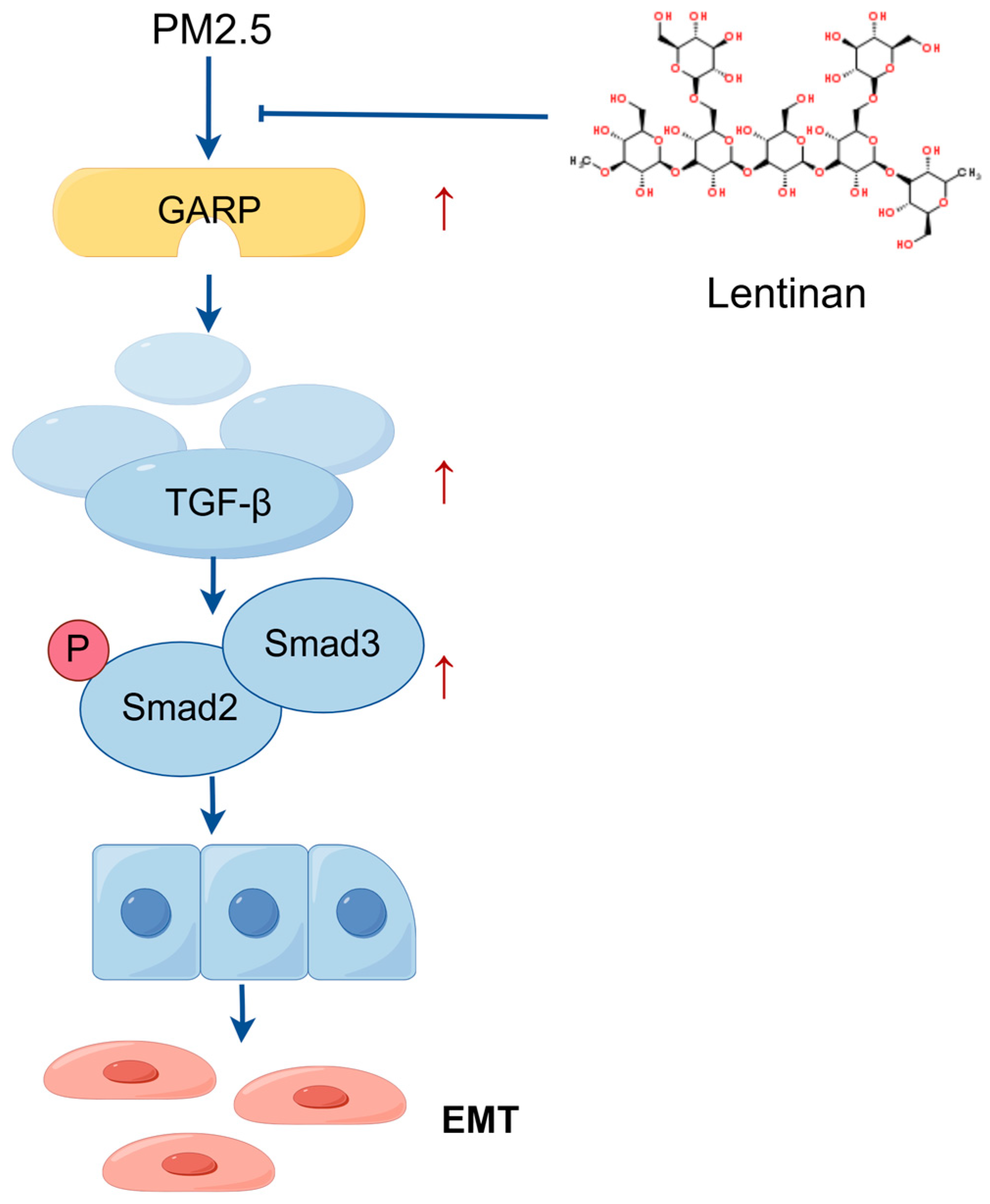 Toxics 13 00166 g007