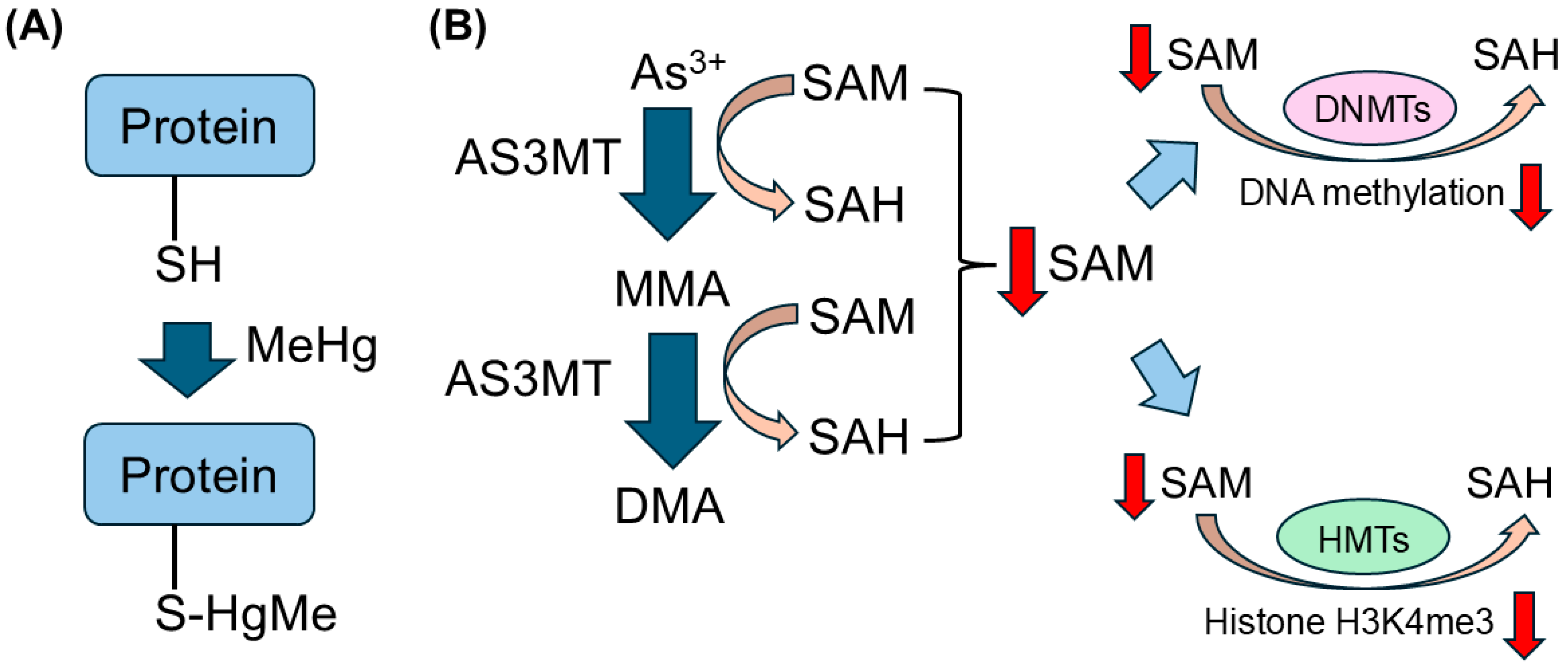Toxics 13 00167 g001