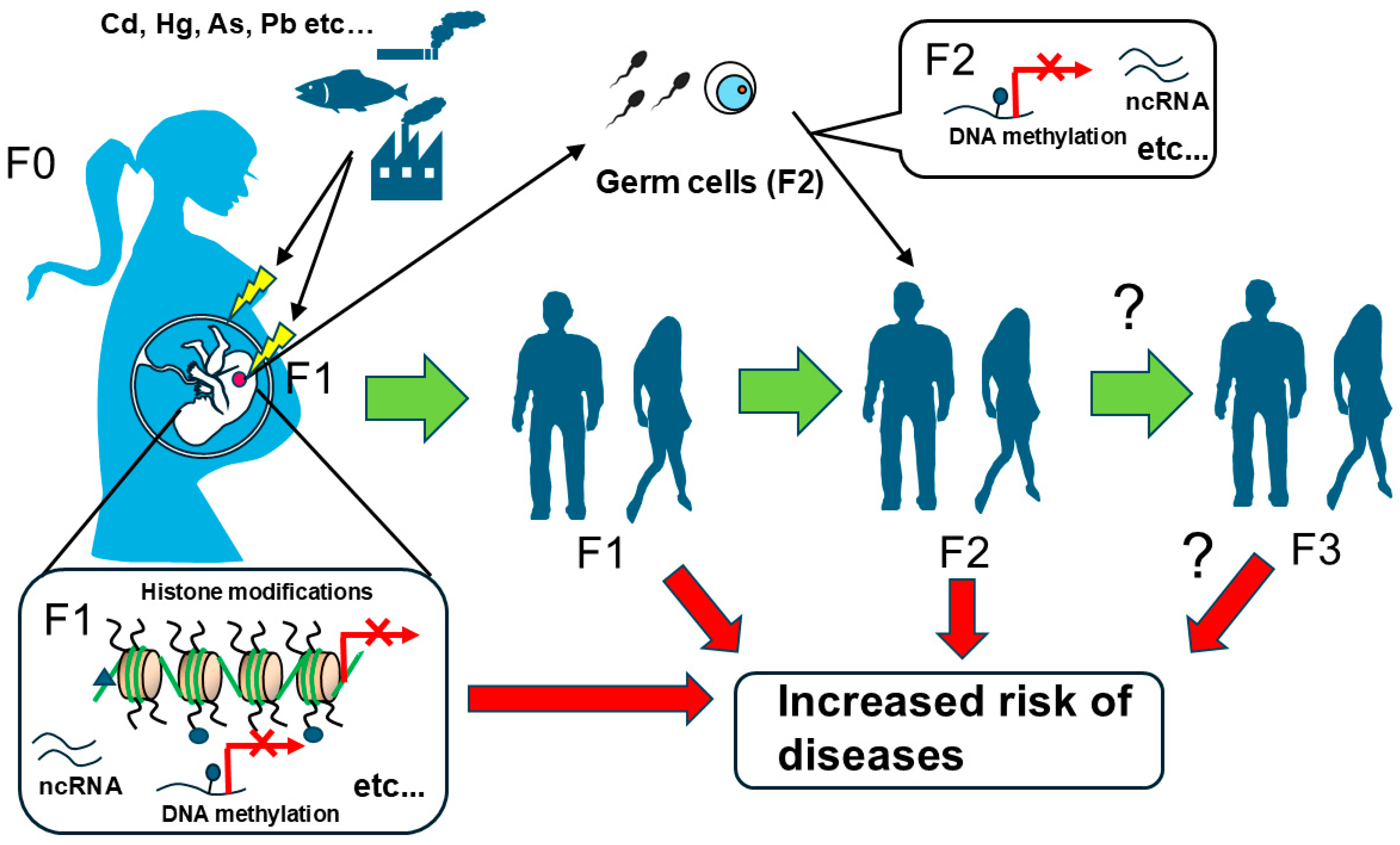 Toxics 13 00167 g003