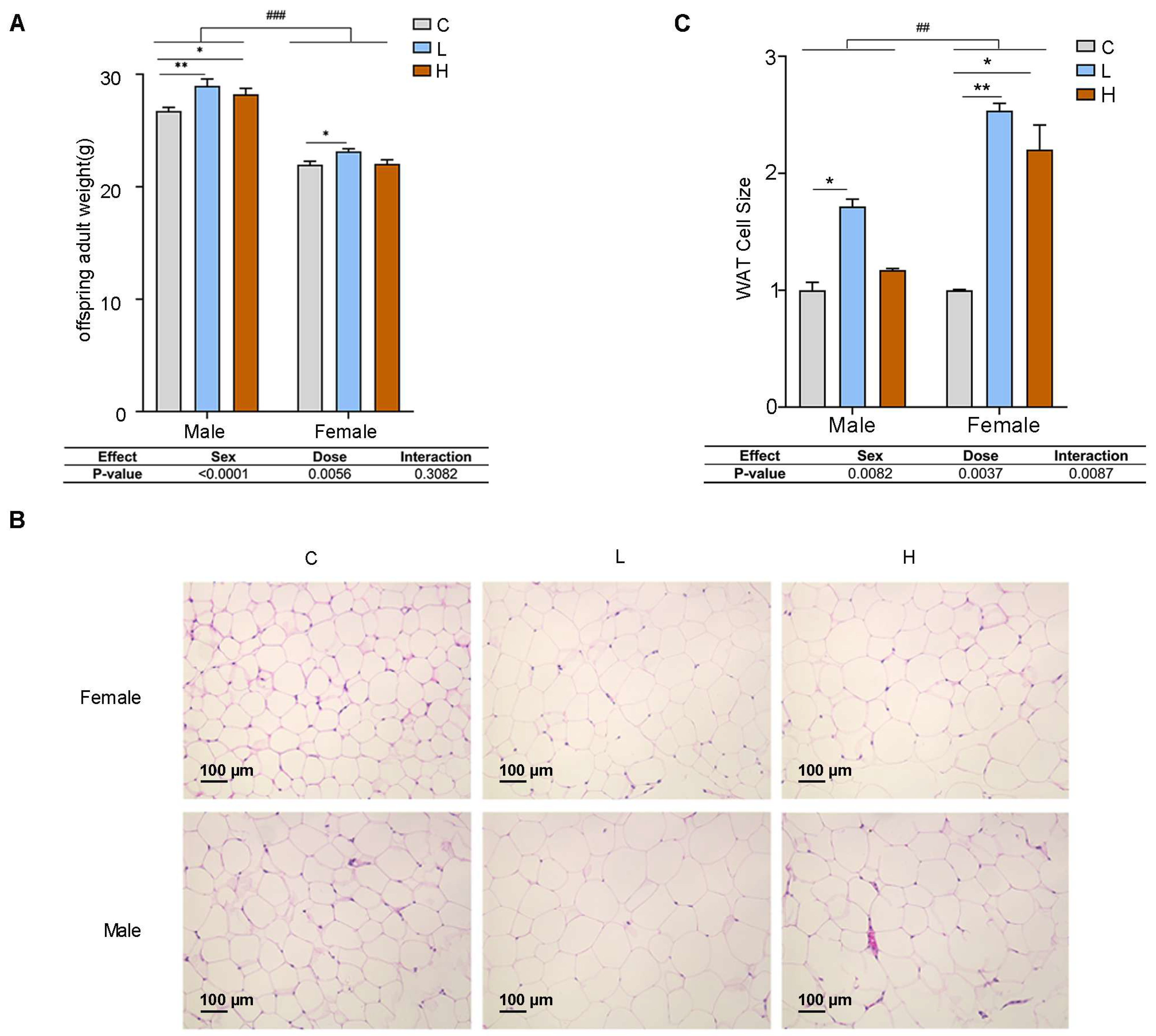 Toxics 13 00171 g002