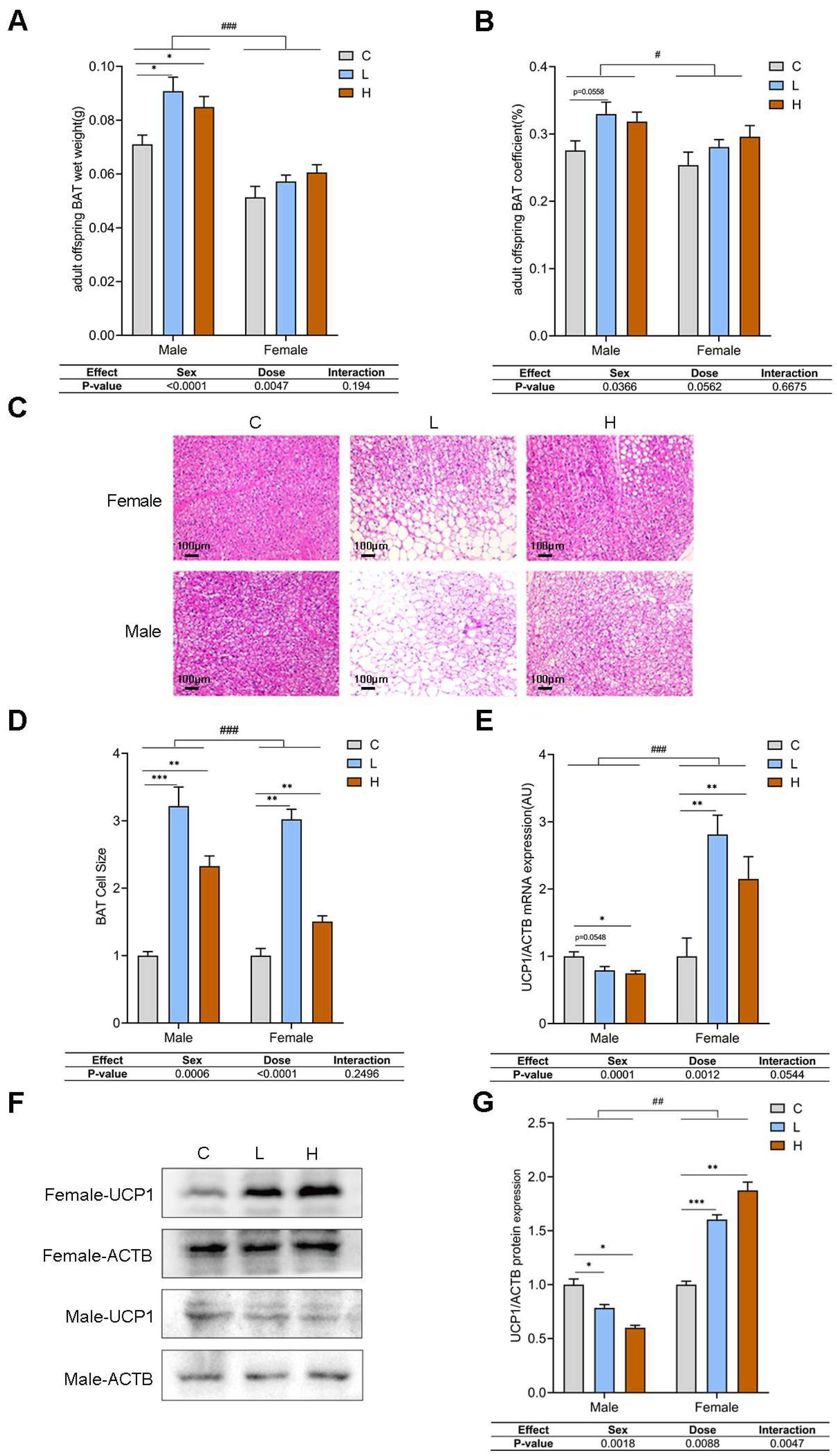 Toxics 13 00171 g003
