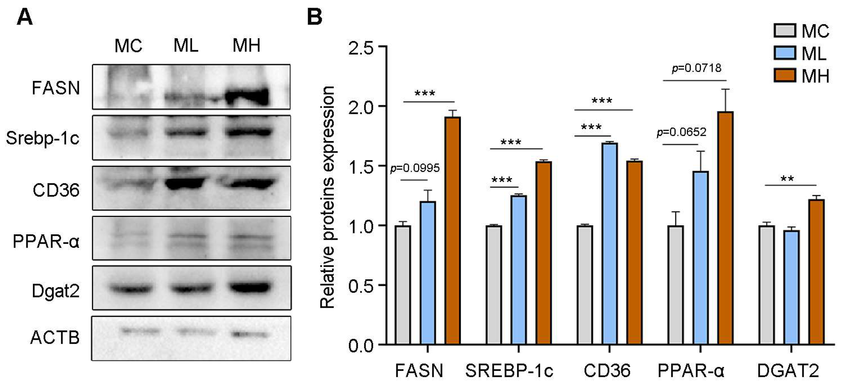 Toxics 13 00171 g004