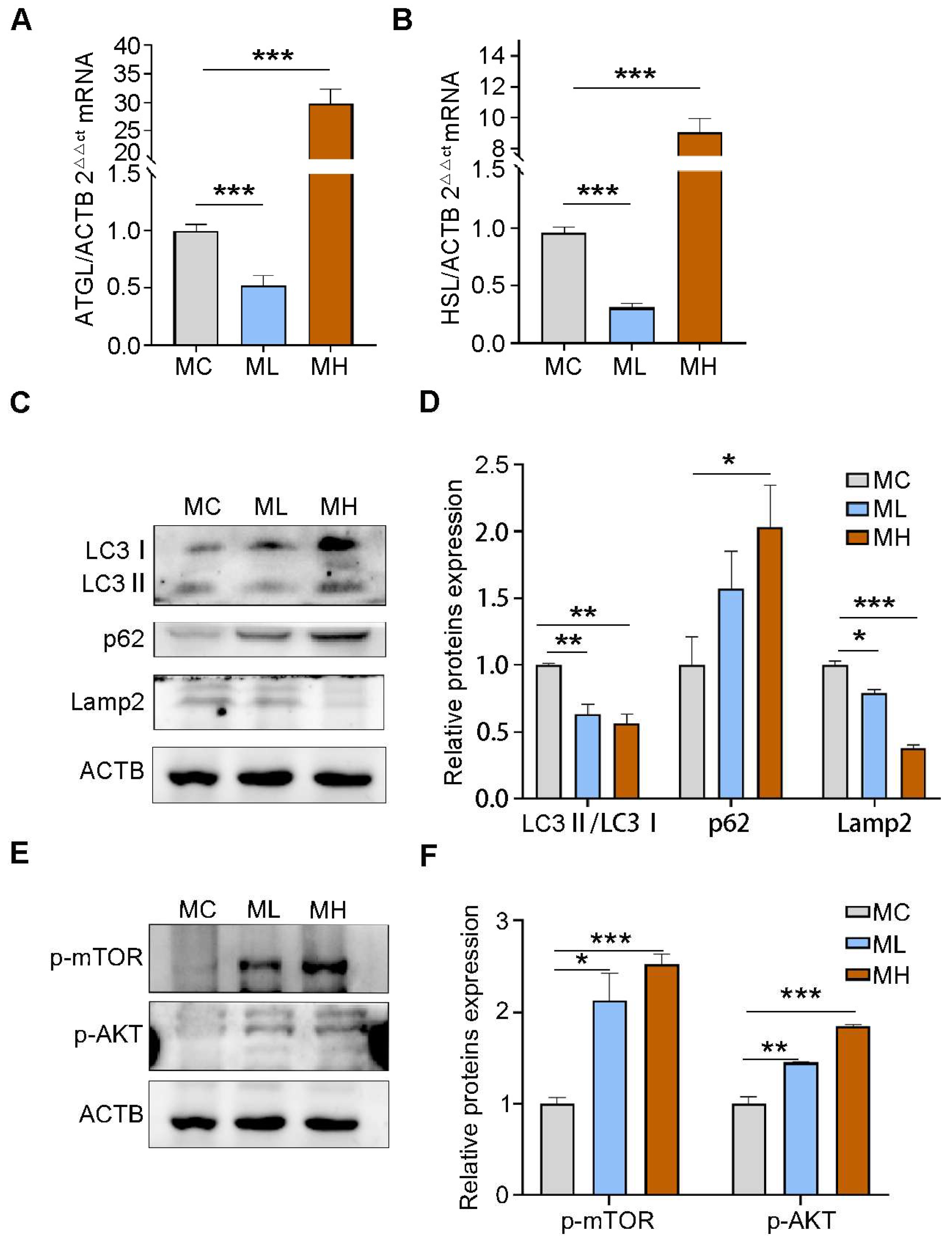 Toxics 13 00171 g005