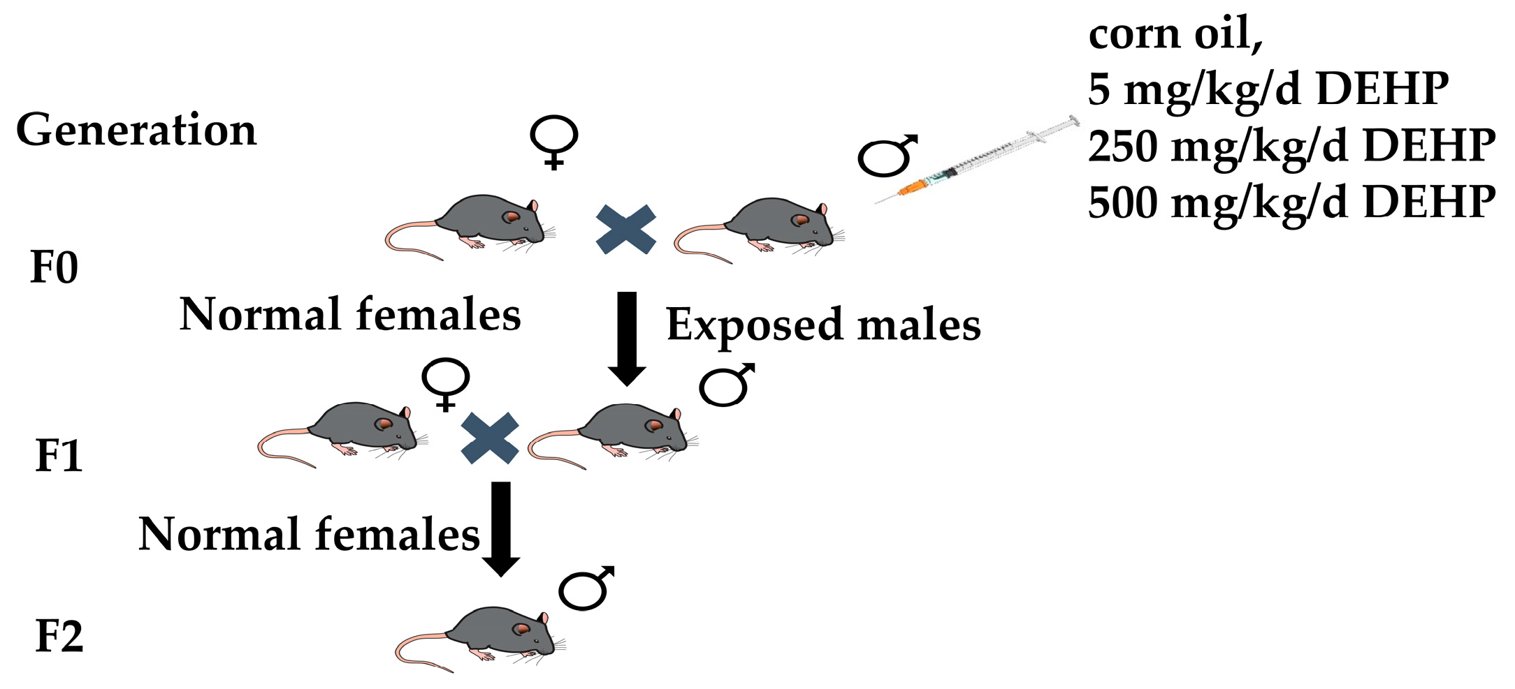 Toxics 13 00172 g001