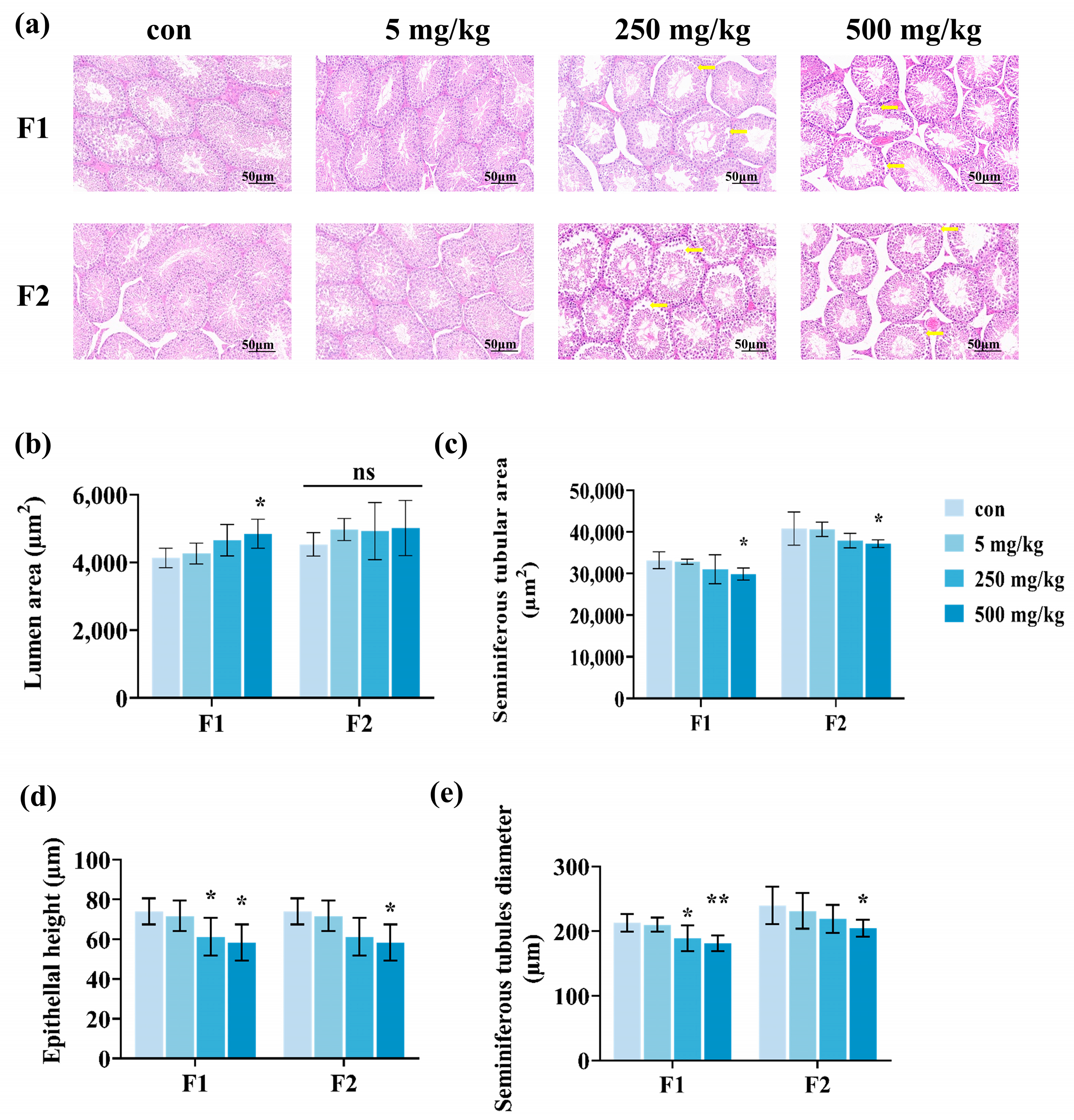 Toxics 13 00172 g005