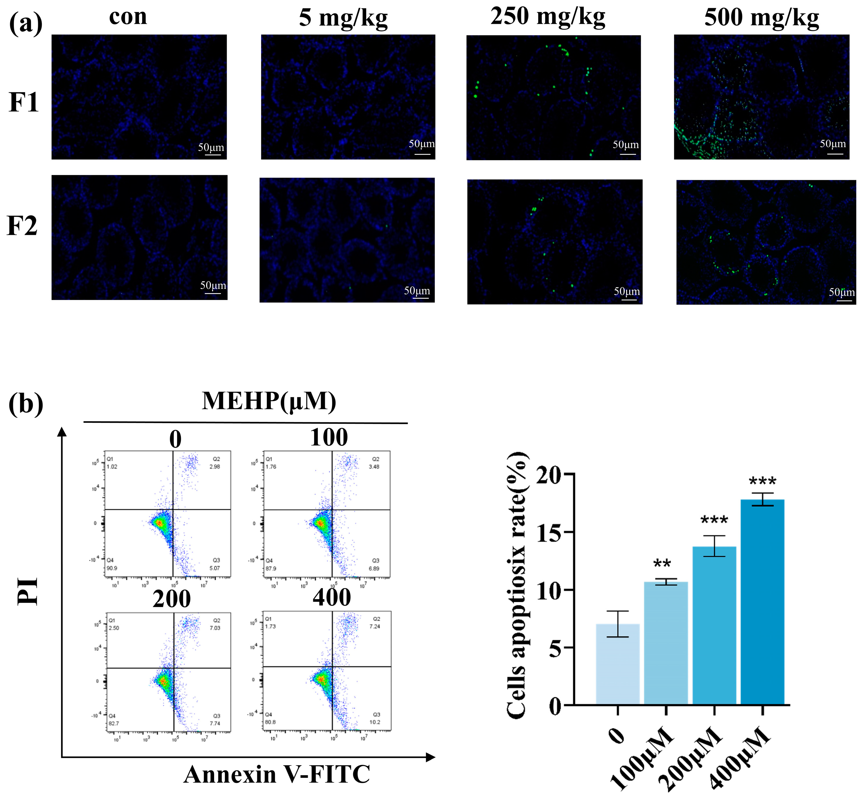 Toxics 13 00172 g007