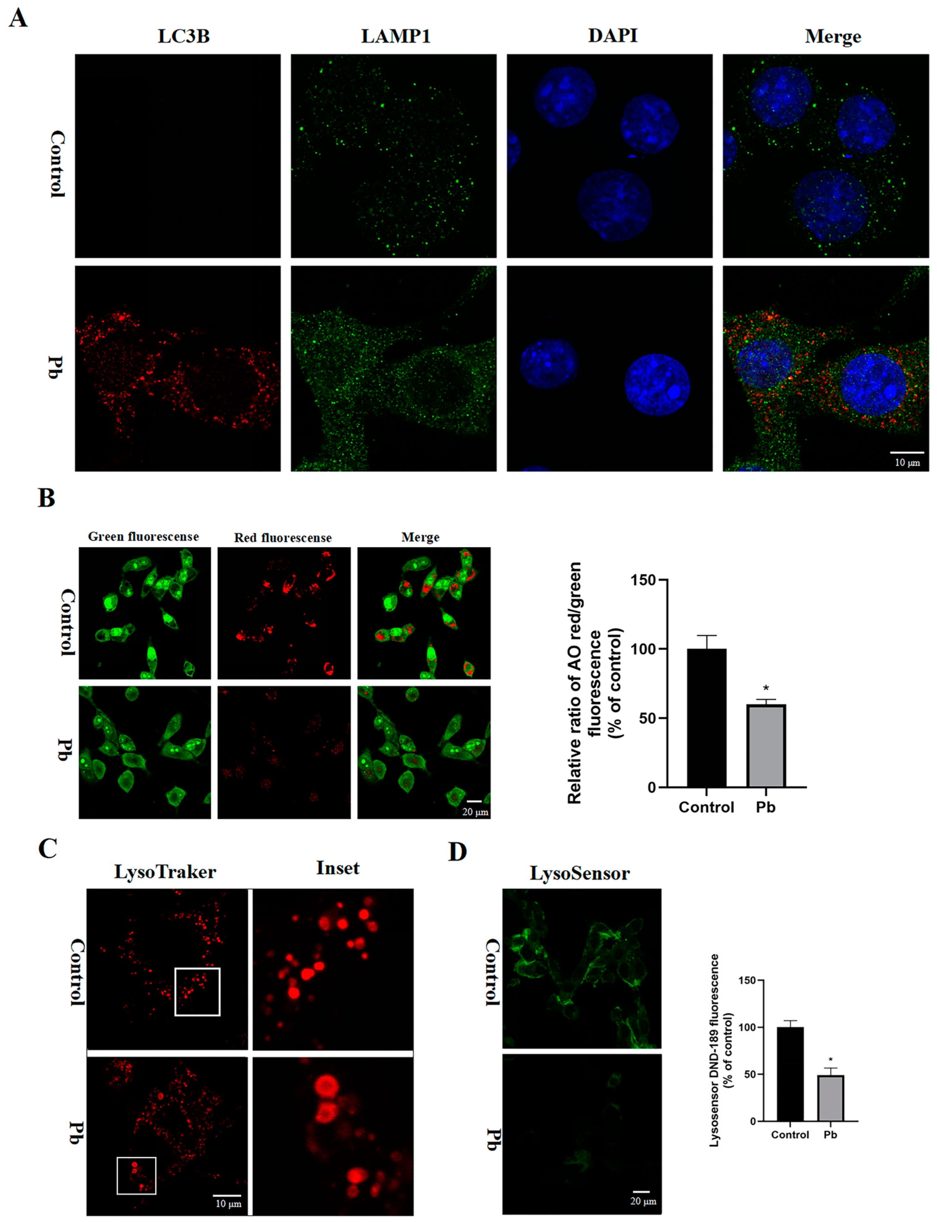Toxics 13 00175 g004