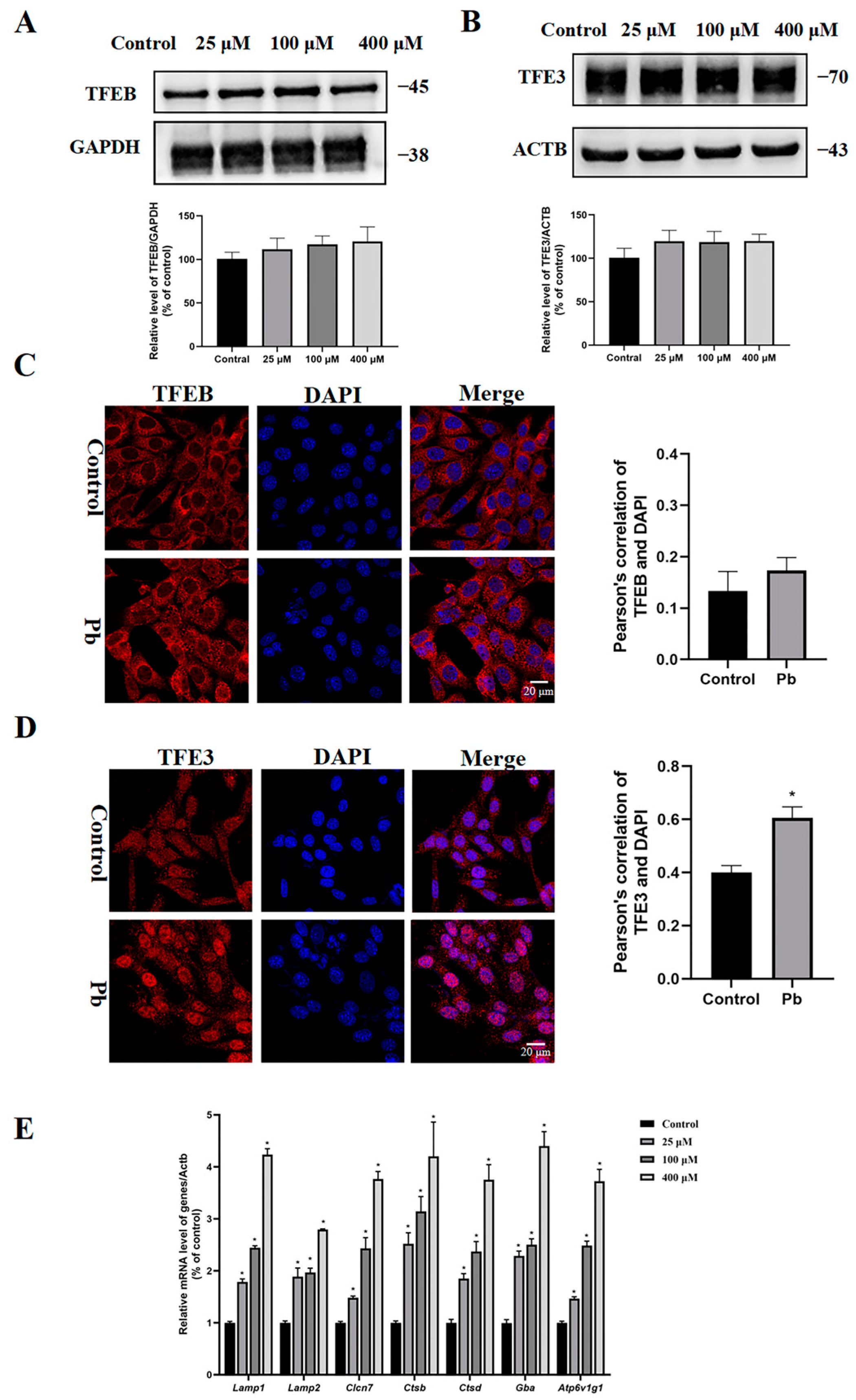 Toxics 13 00175 g005