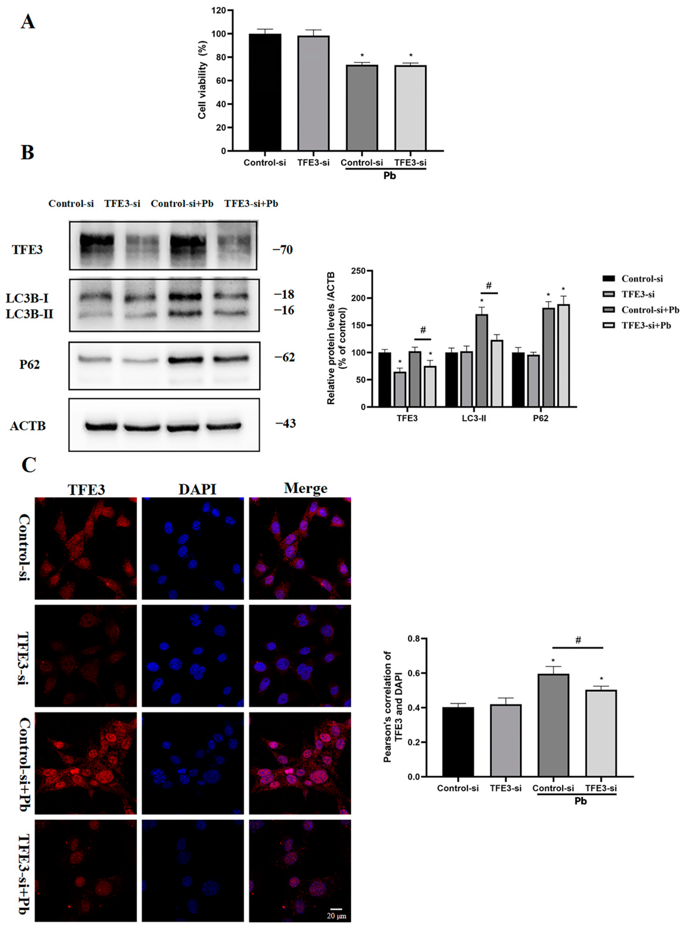 Toxics 13 00175 g006