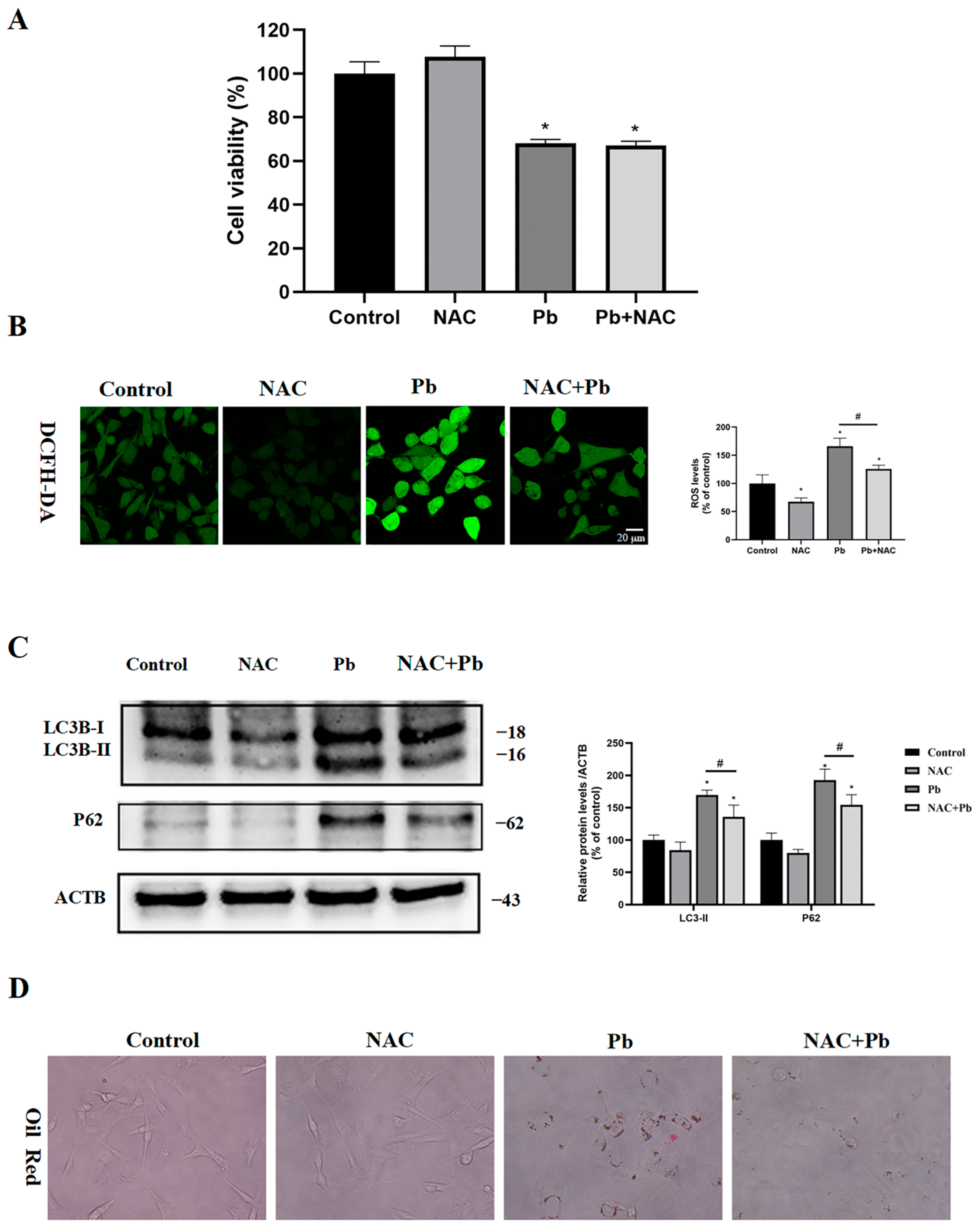 Toxics 13 00175 g007