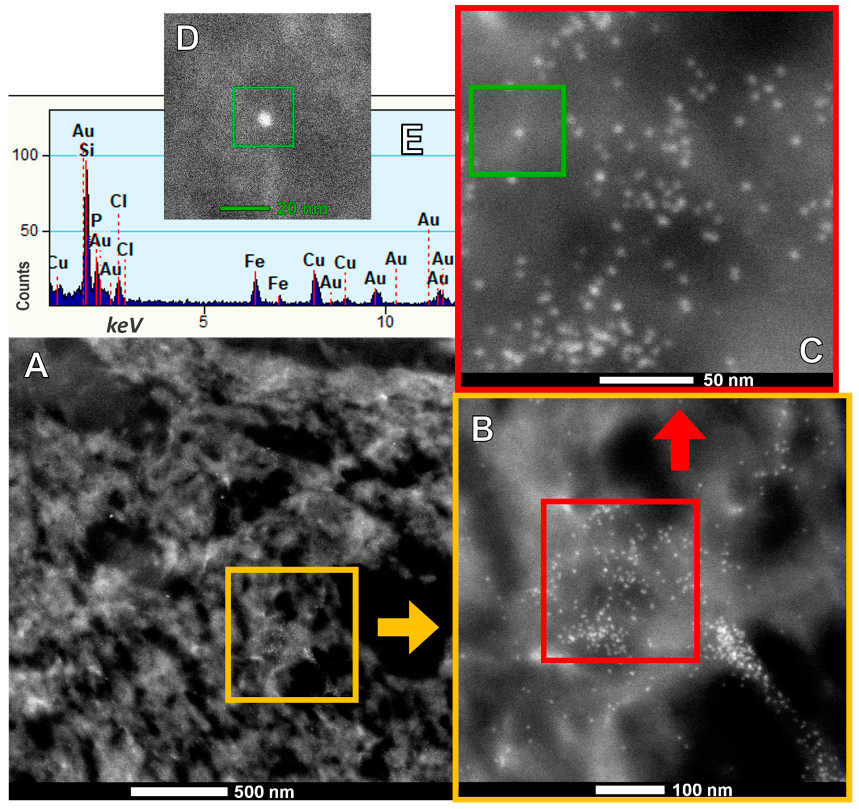 Toxics 13 00178 g004
