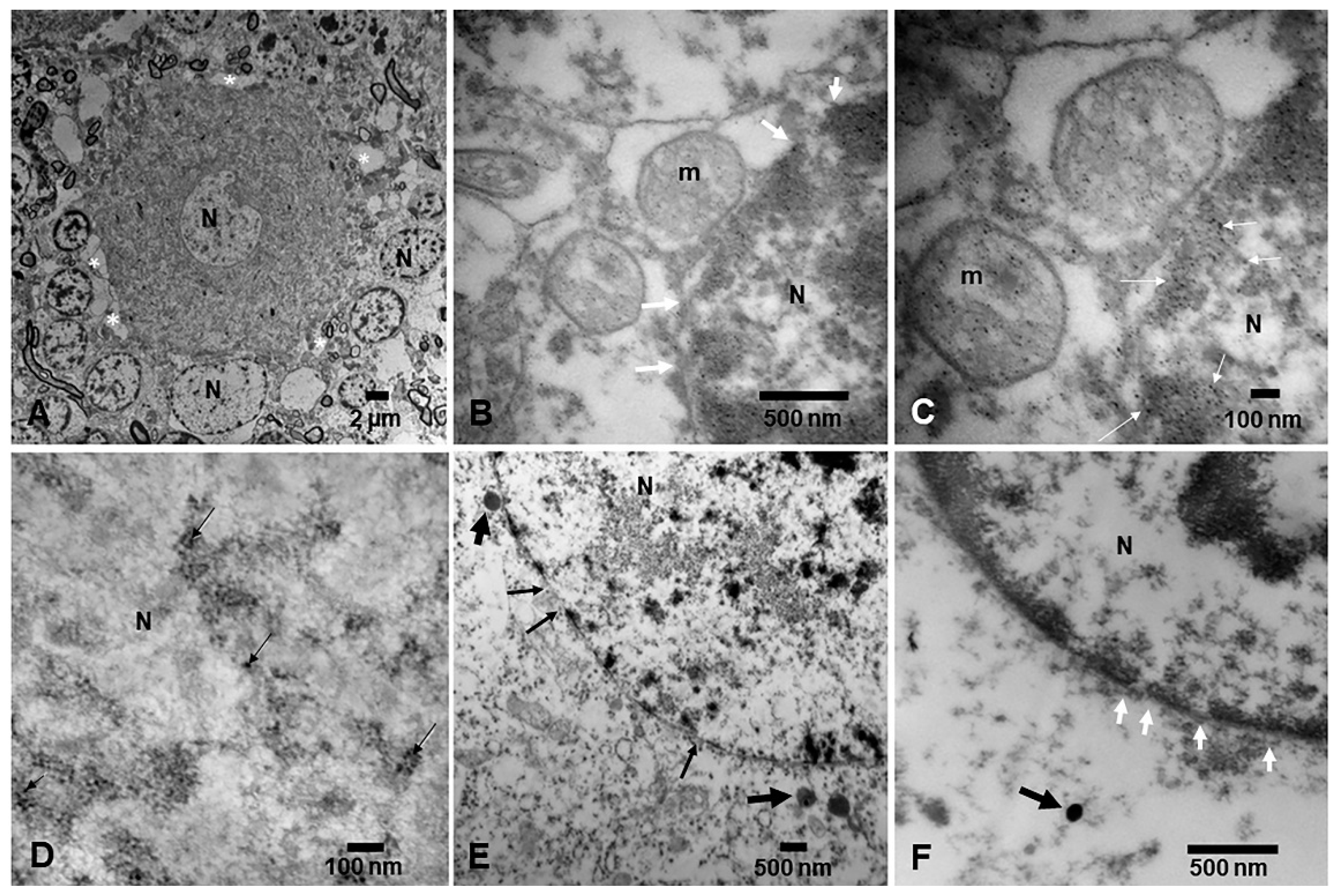 Toxics 13 00178 g008