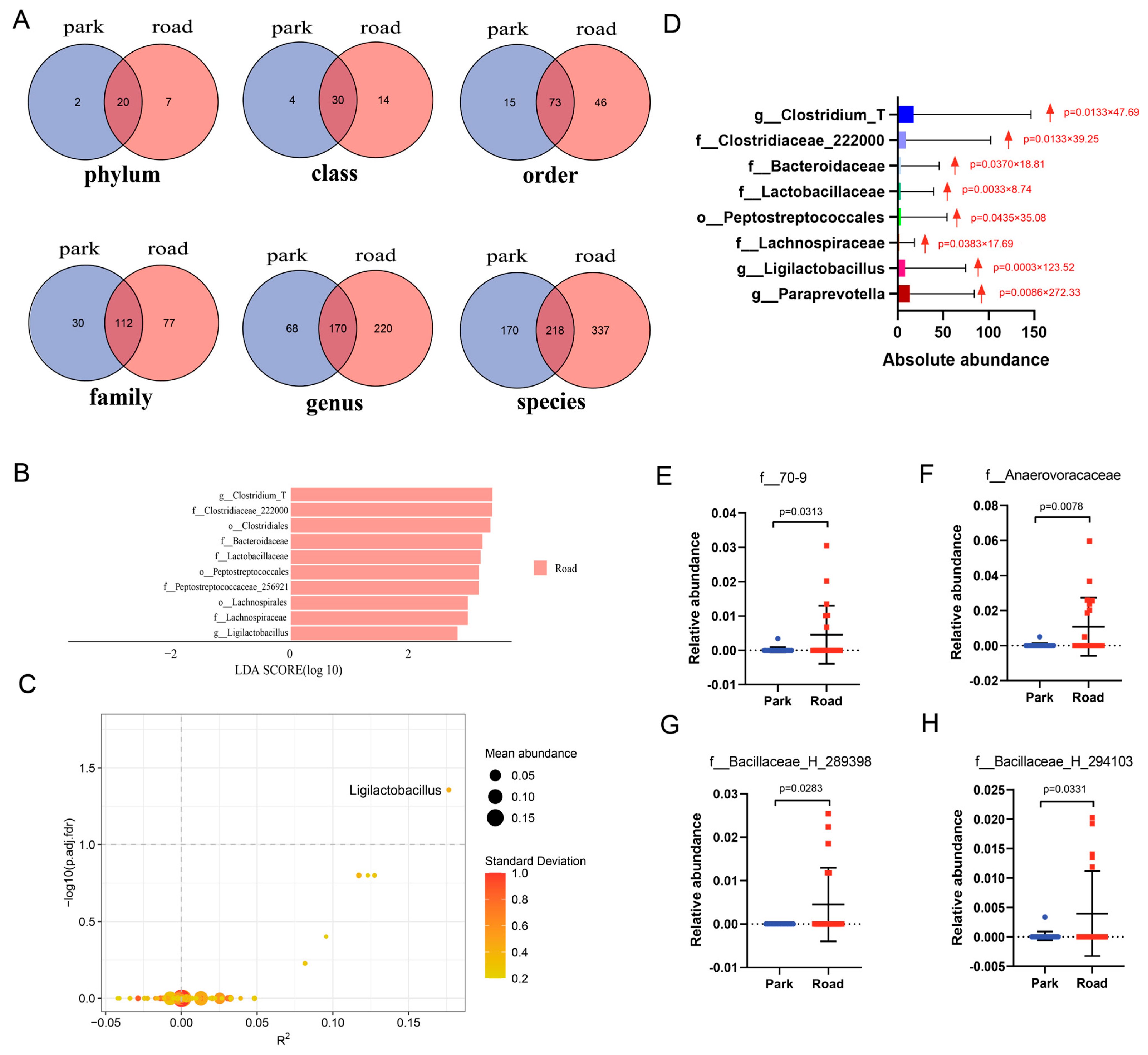 Toxics 13 00180 g006