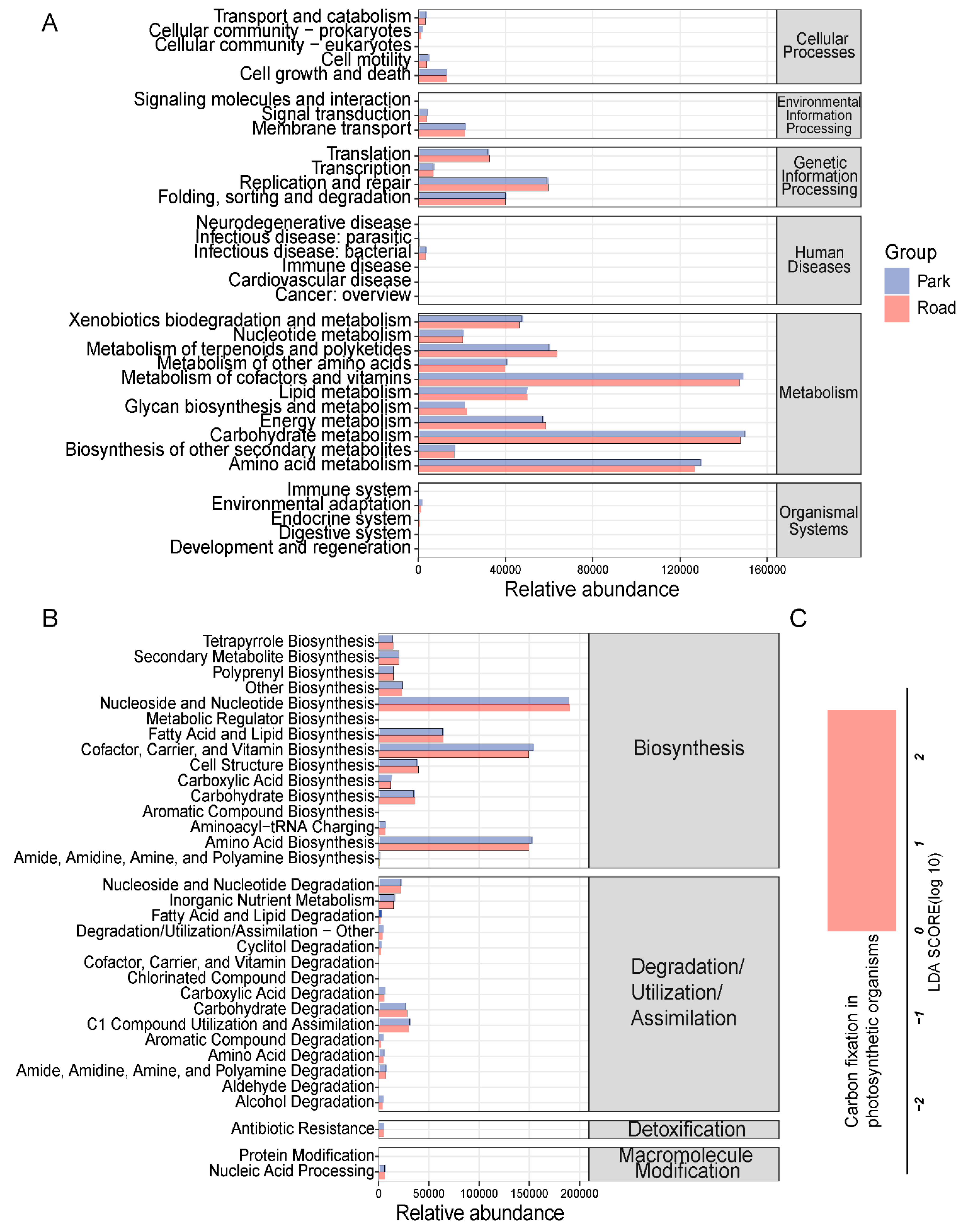Toxics 13 00180 g007