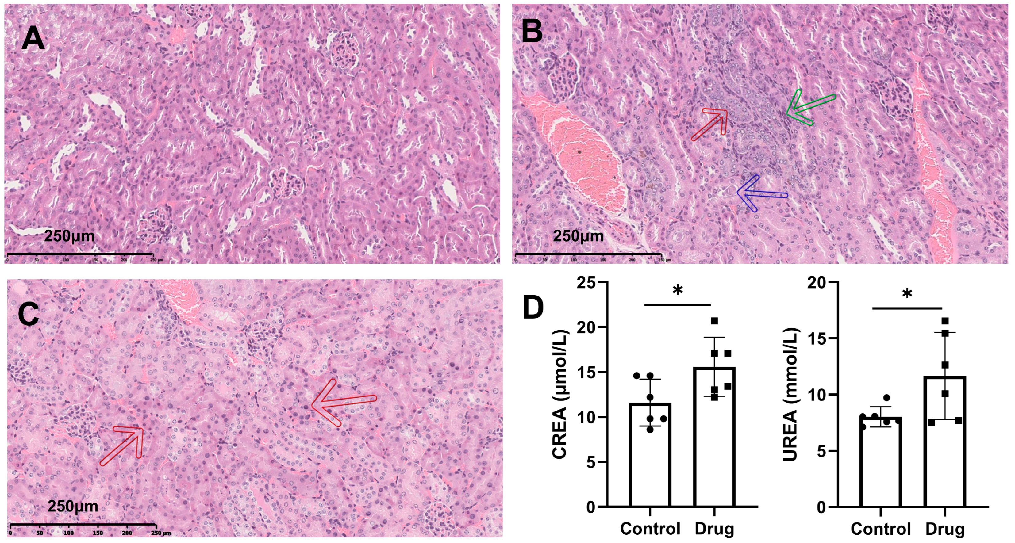 Toxics 13 00182 g001