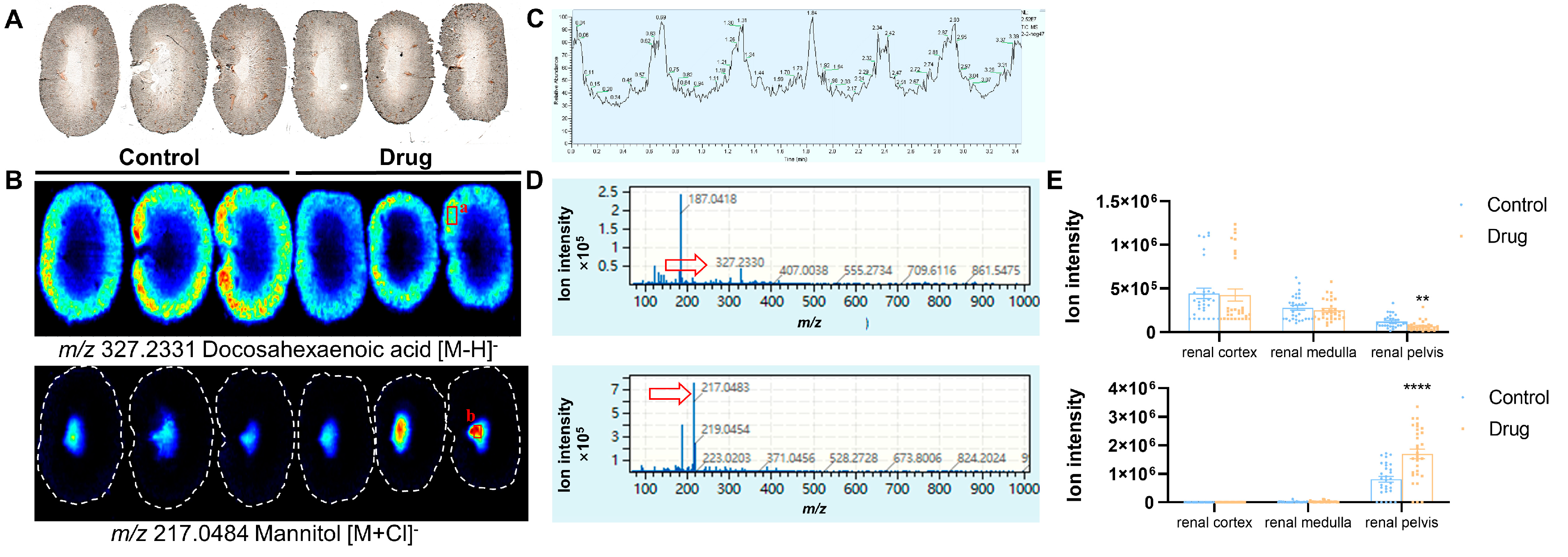 Toxics 13 00182 g005
