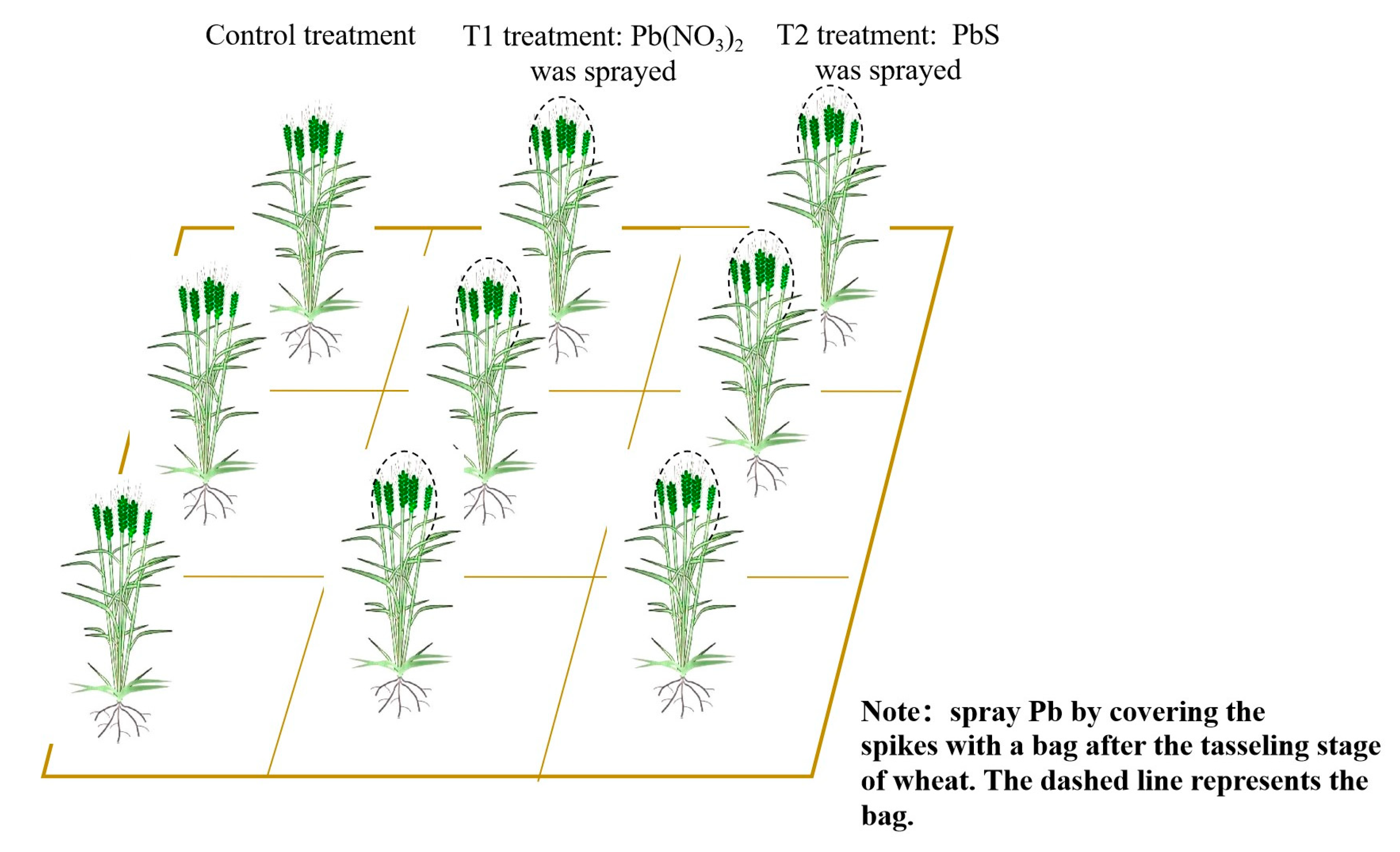 Toxics 13 00185 g002