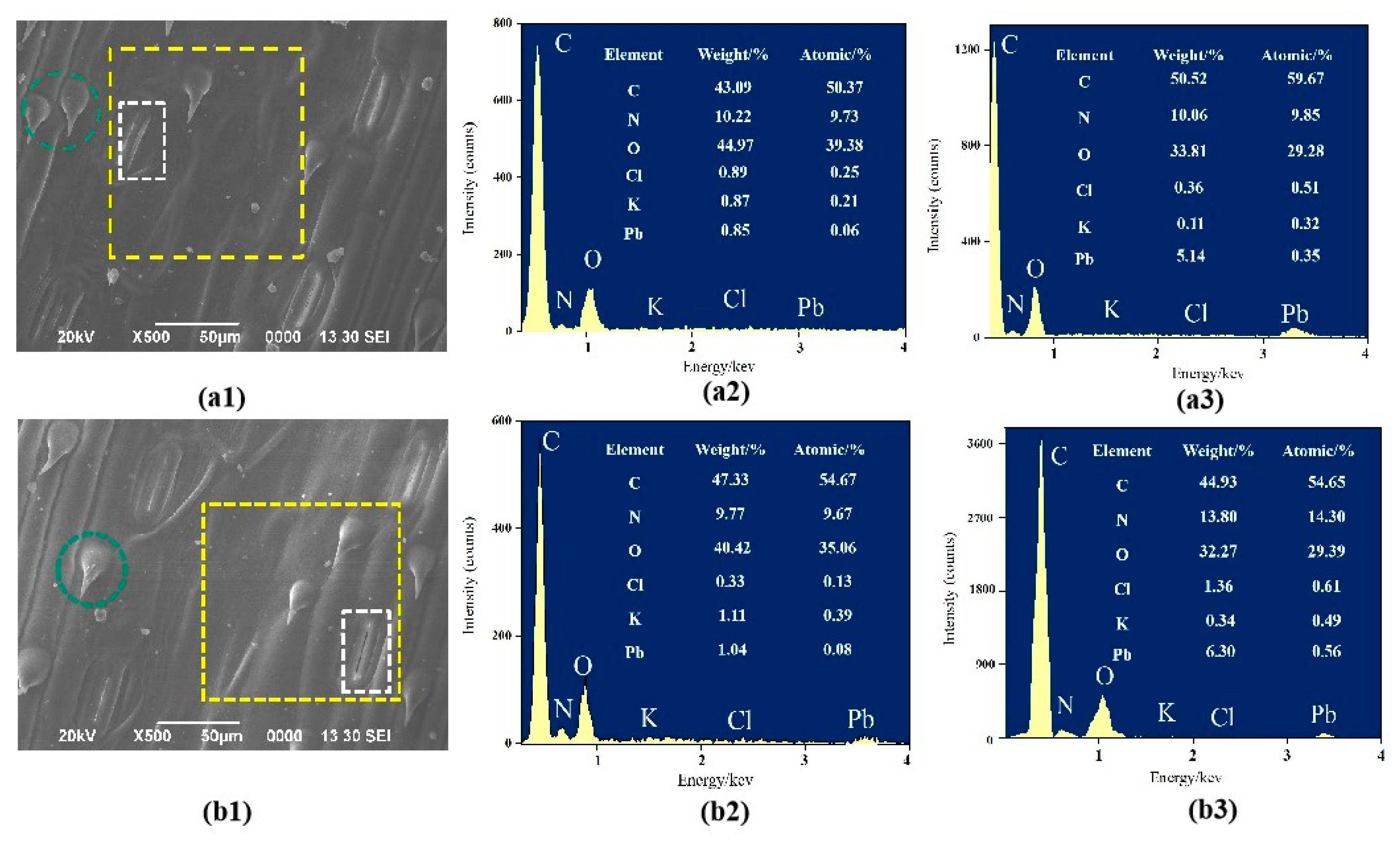 Toxics 13 00185 g005