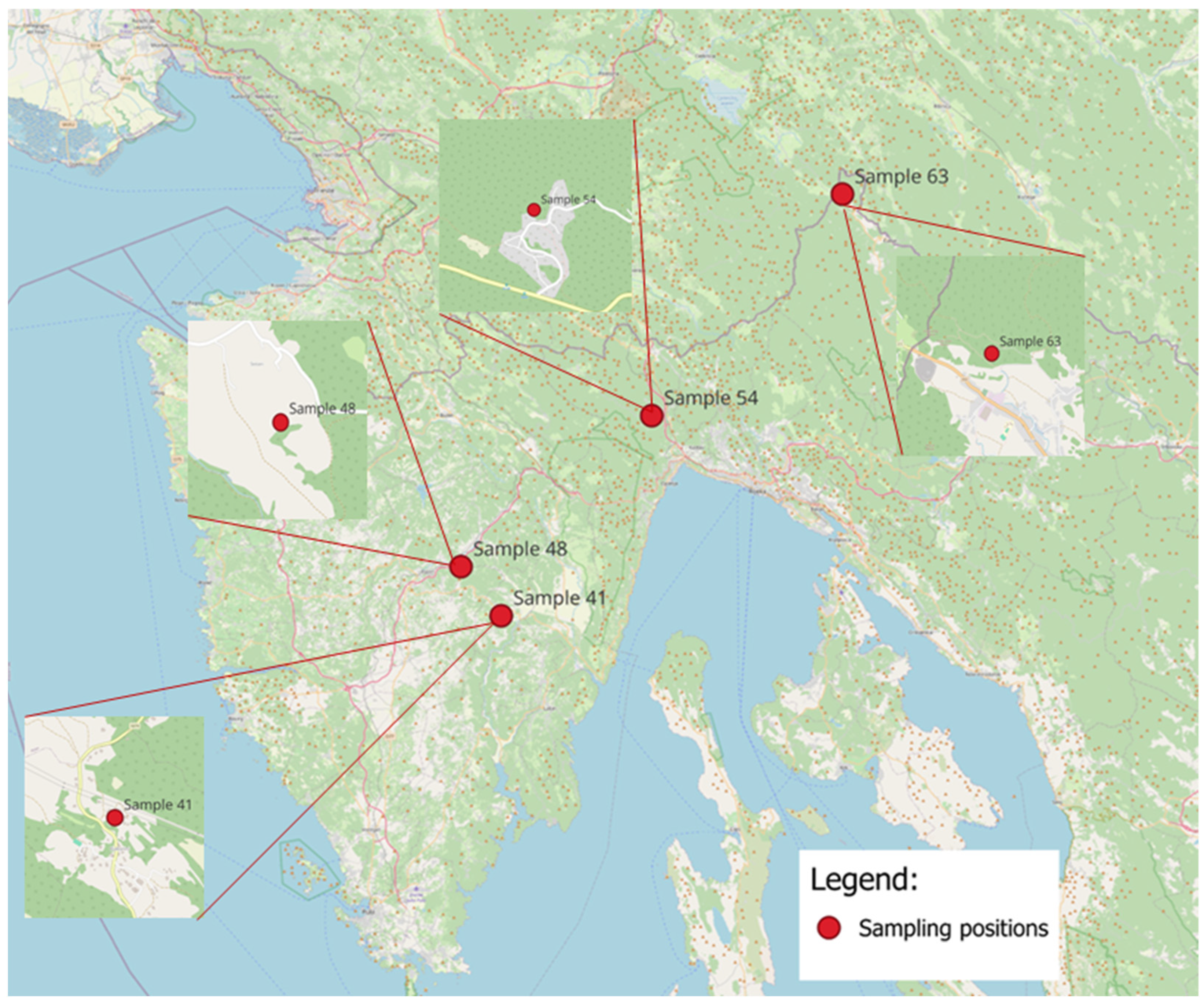 Toxics 13 00194 g001