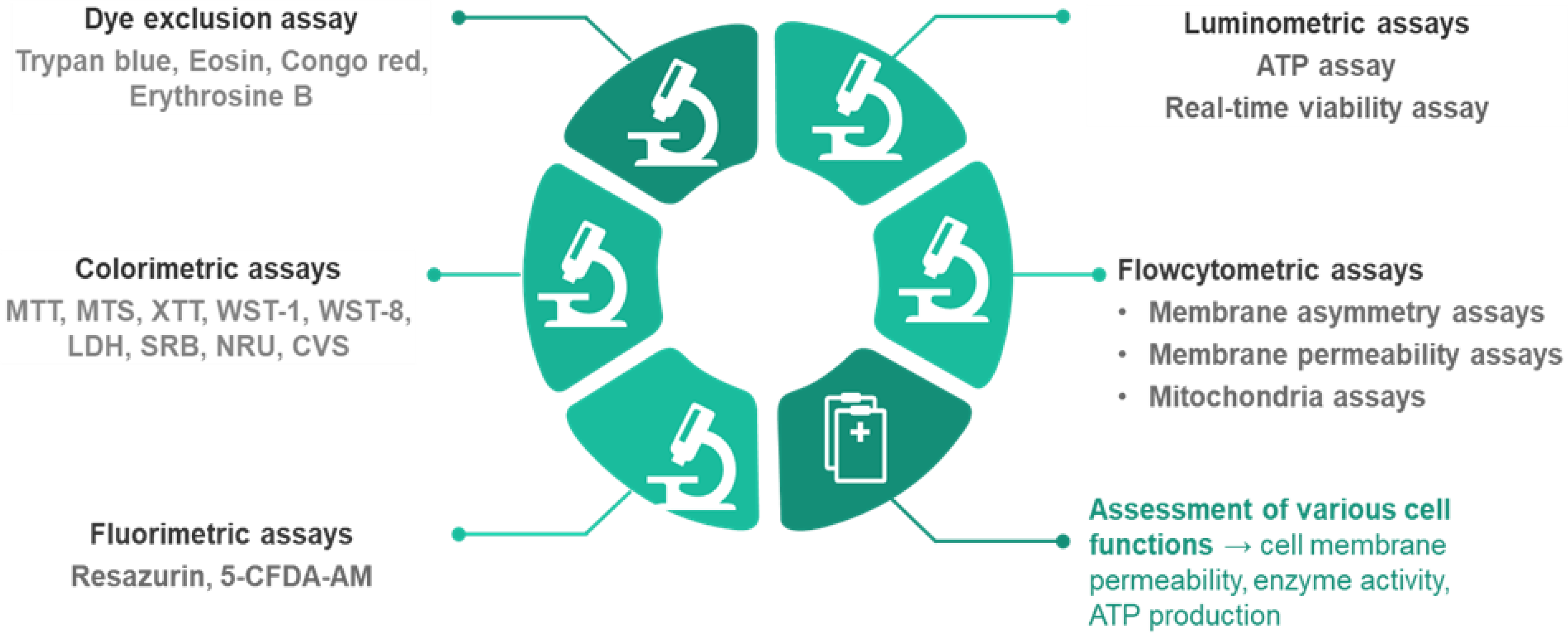 Toxics 13 00195 g001