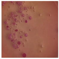 Toxics 13 00201 i001