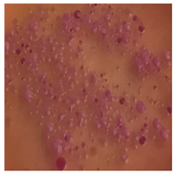 Toxics 13 00201 i004