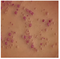 Toxics 13 00201 i012